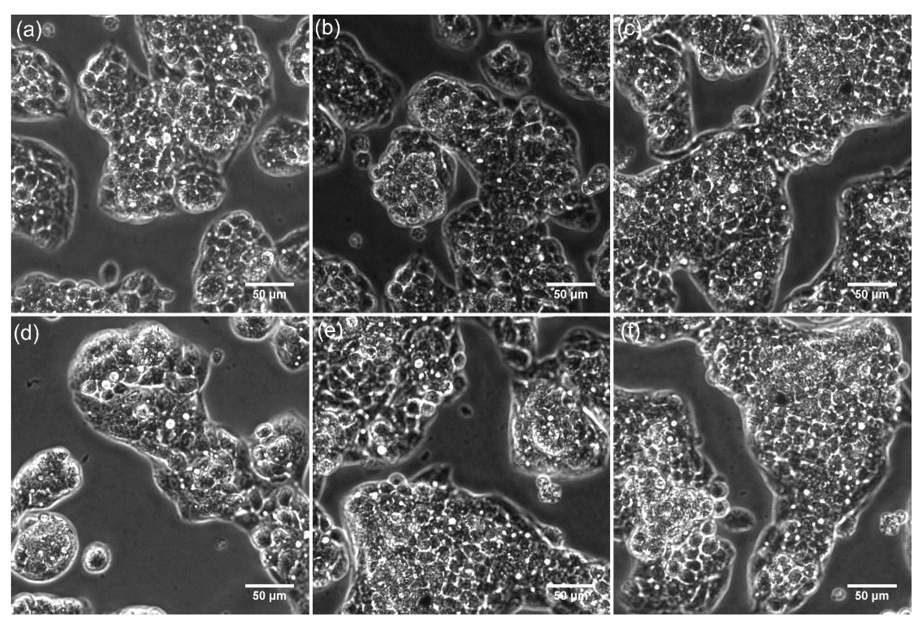Polymers 13 02351 g010 Polymers 13 02351 g010
