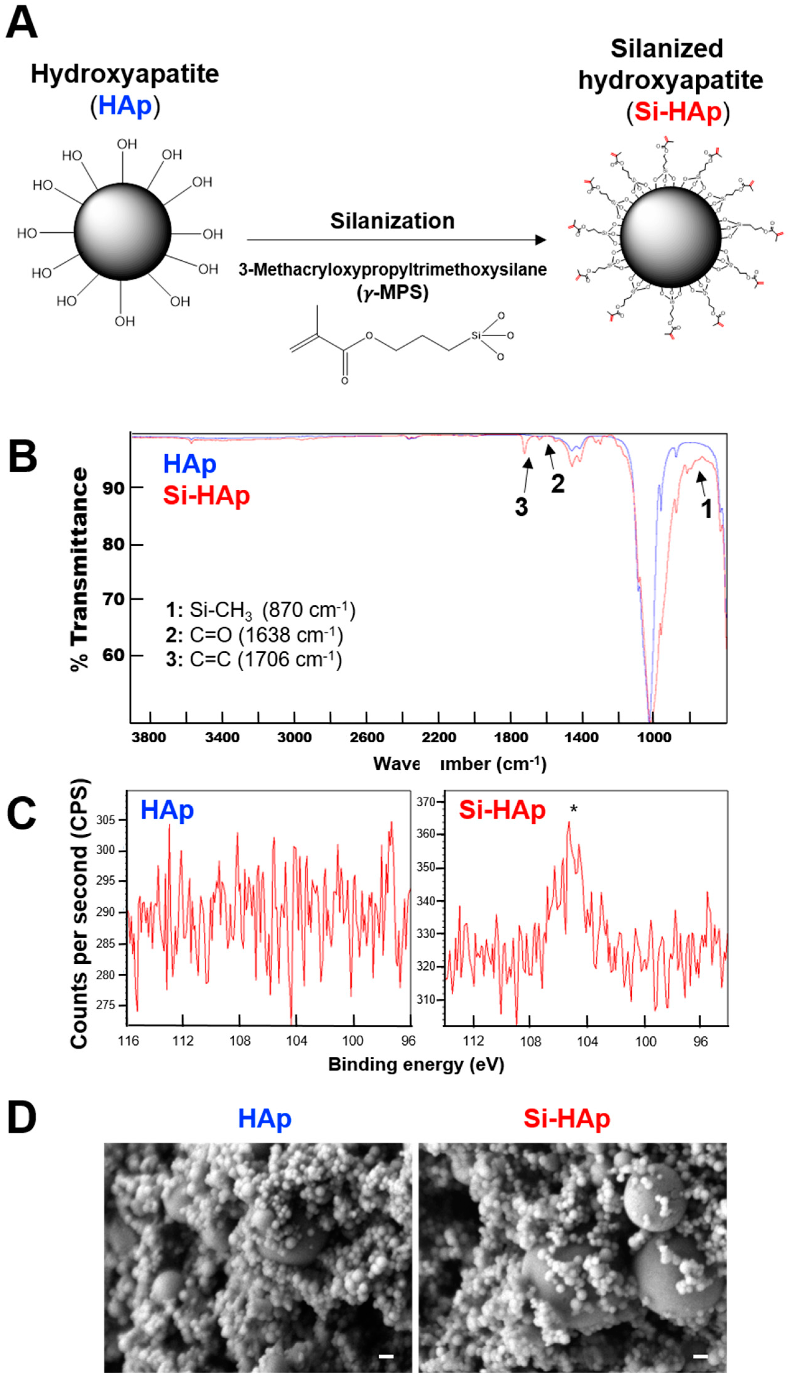 Polymers 13 02354 g001