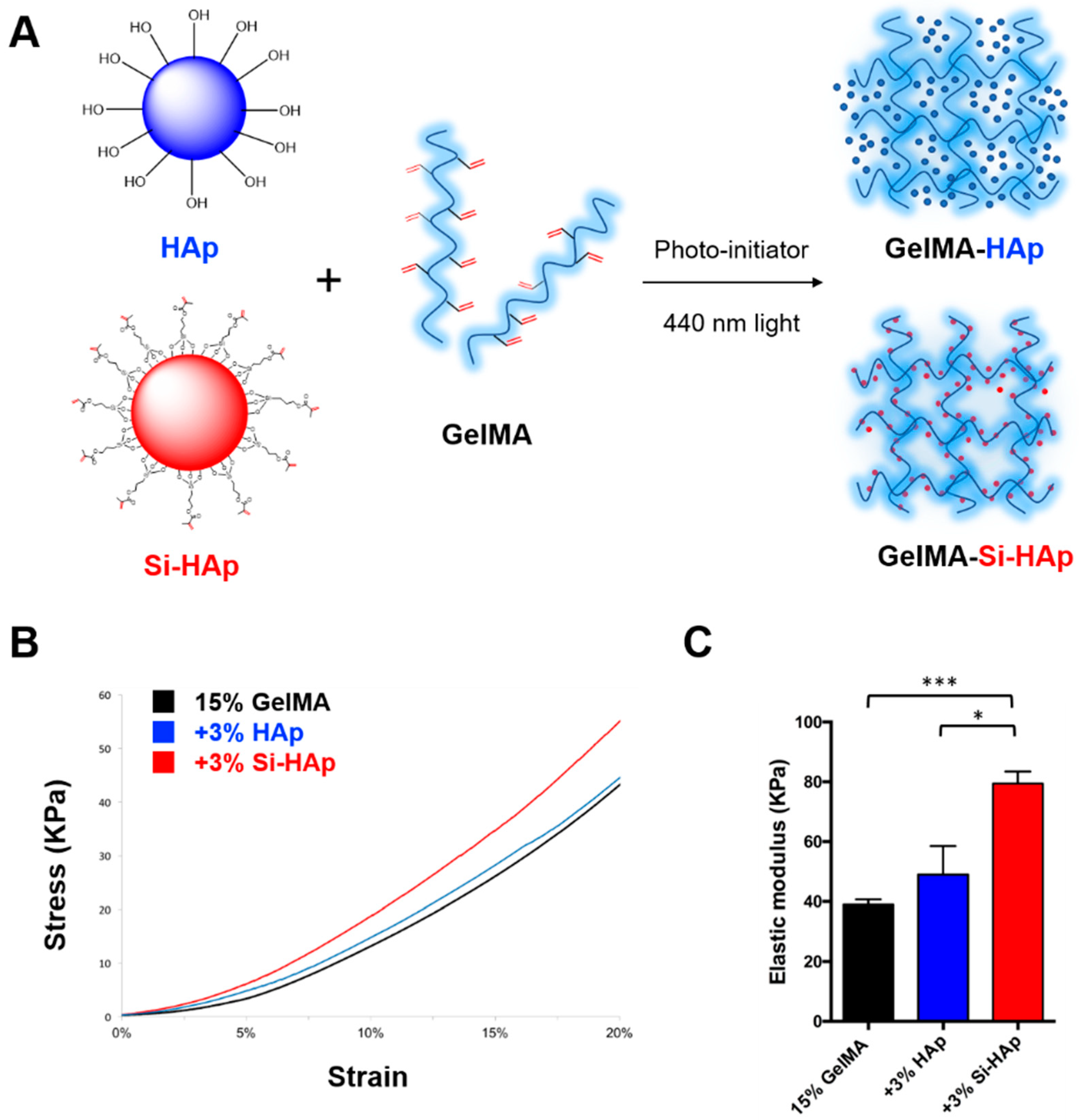 Polymers 13 02354 g003