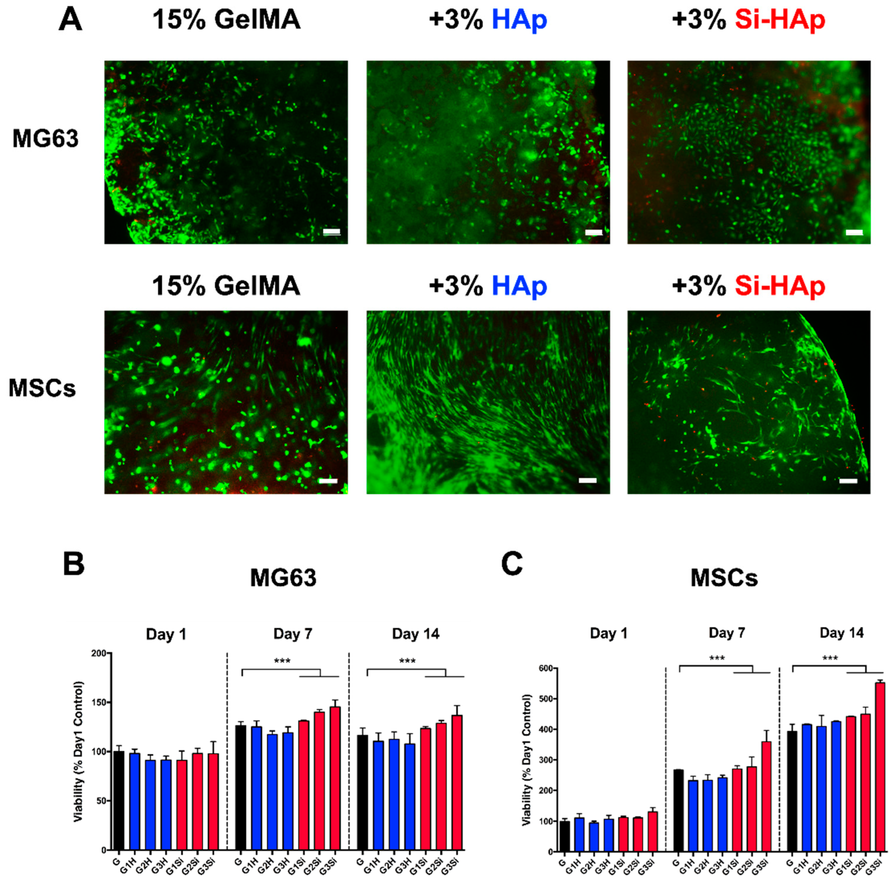 Polymers 13 02354 g004
