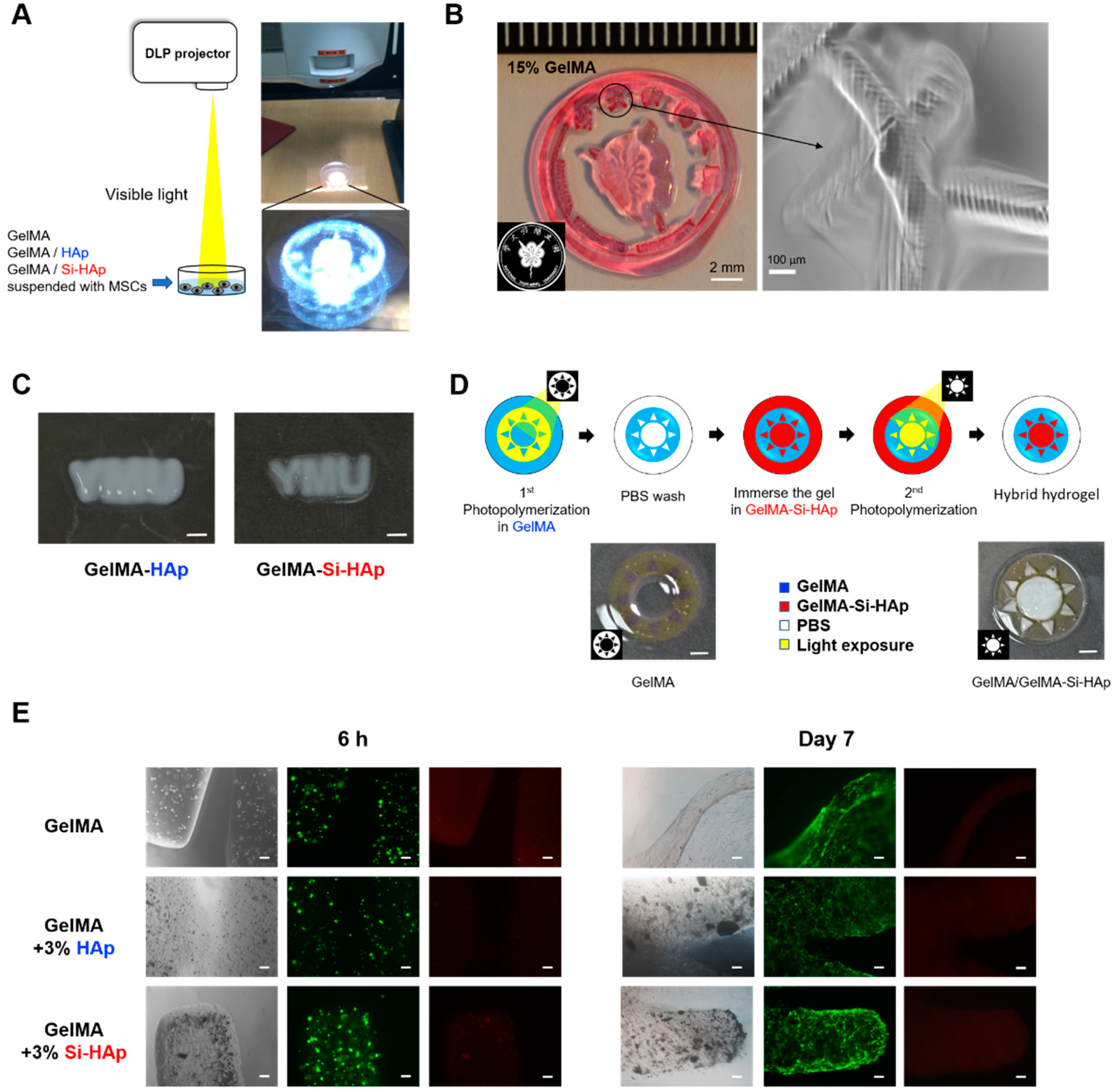 Polymers 13 02354 g006