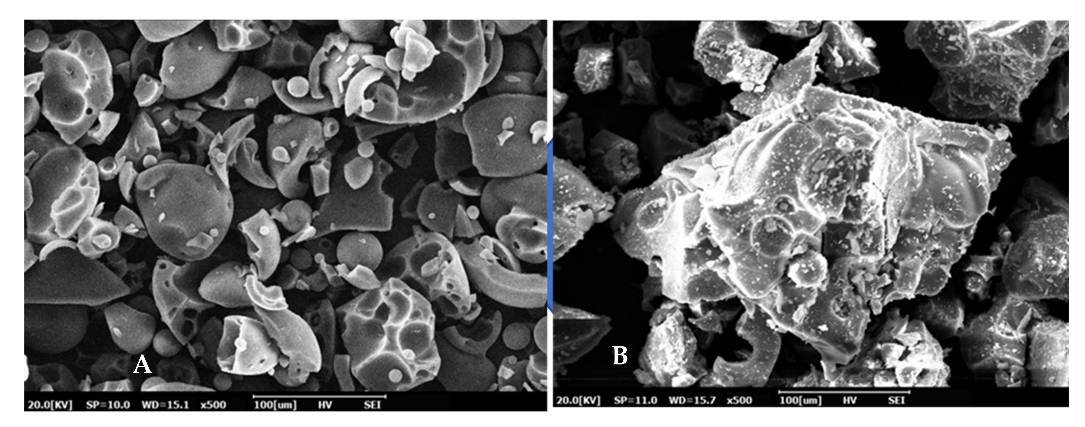 Polymers 13 02359 g010