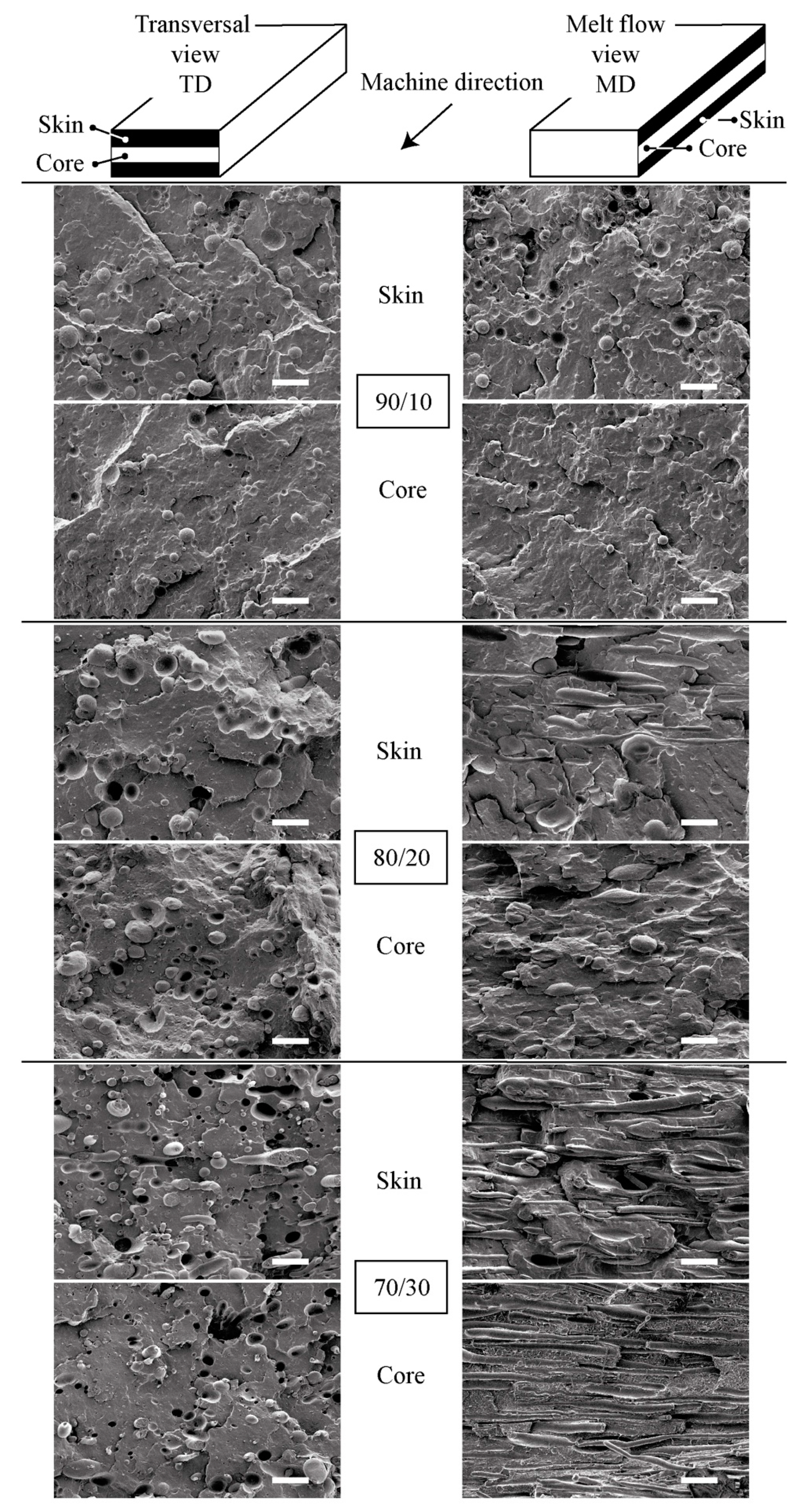Polymers 13 02360 g003 550