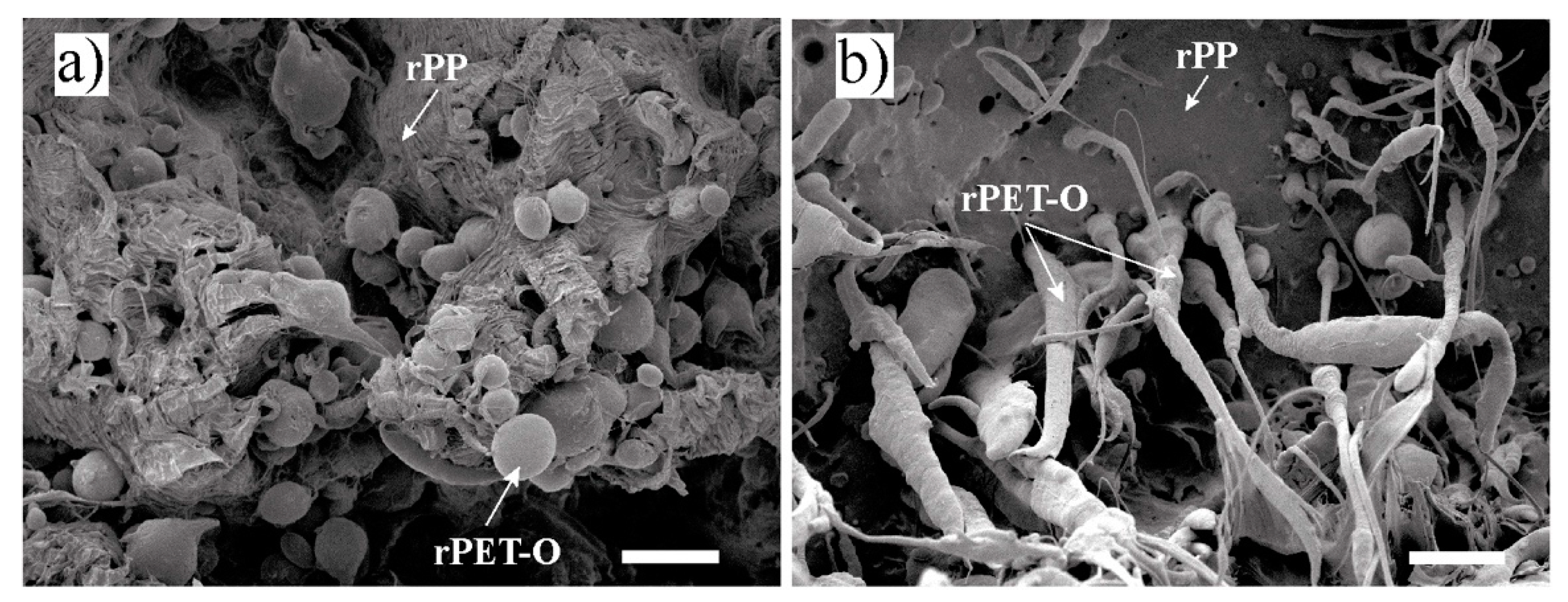 Polymers 13 02360 g007 550