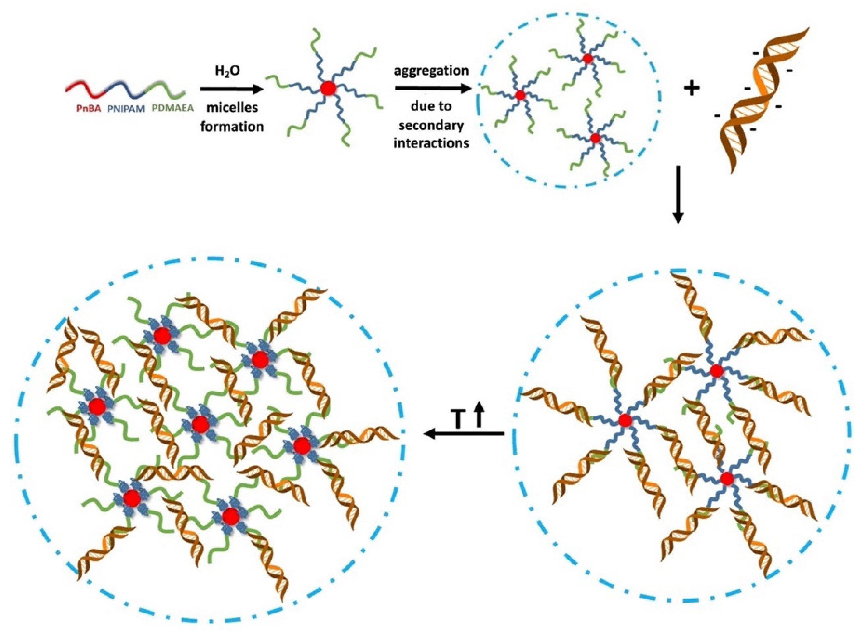 Polymers 13 02361 sch002 550