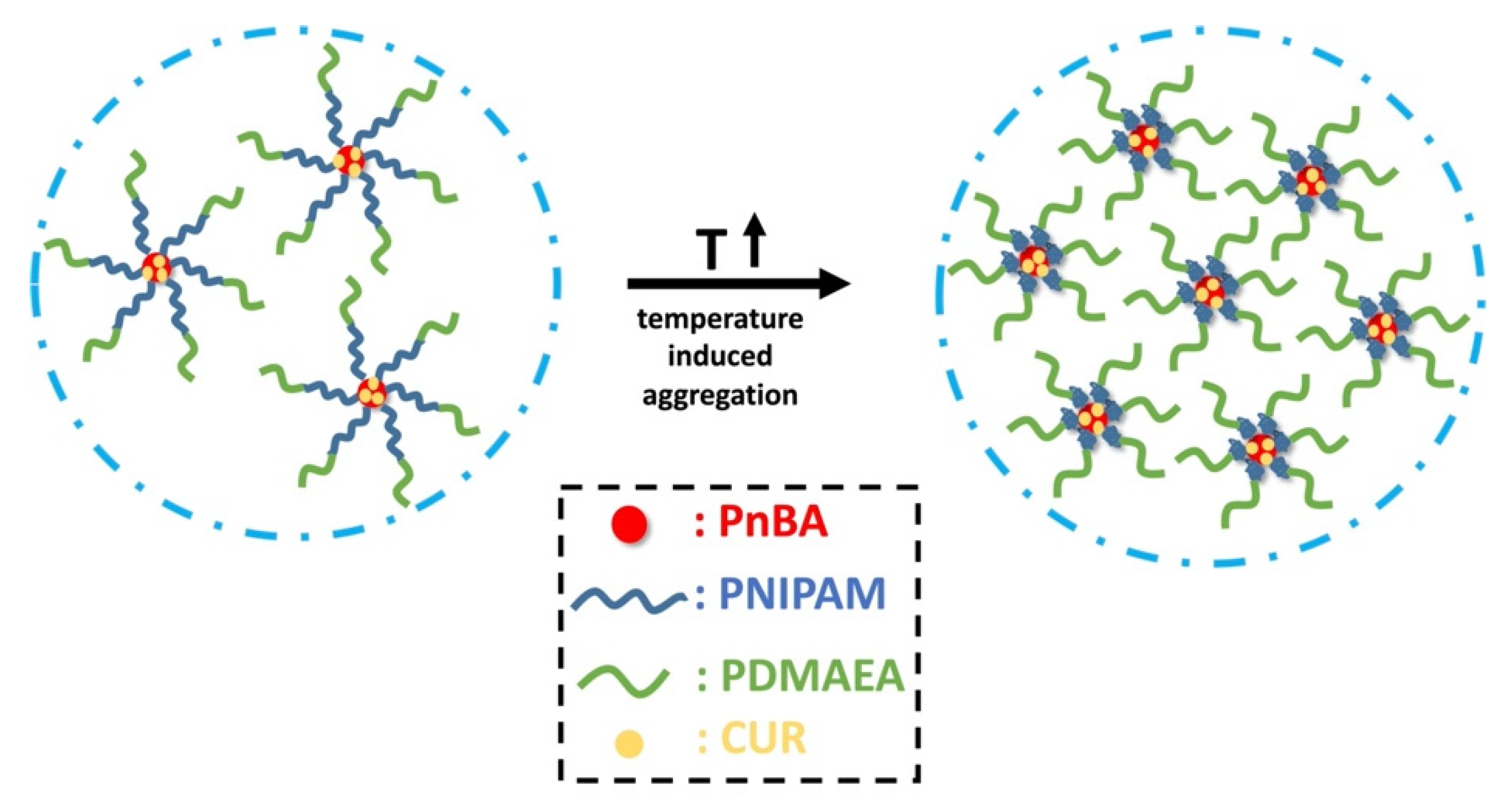 Polymers 13 02361 sch003 550