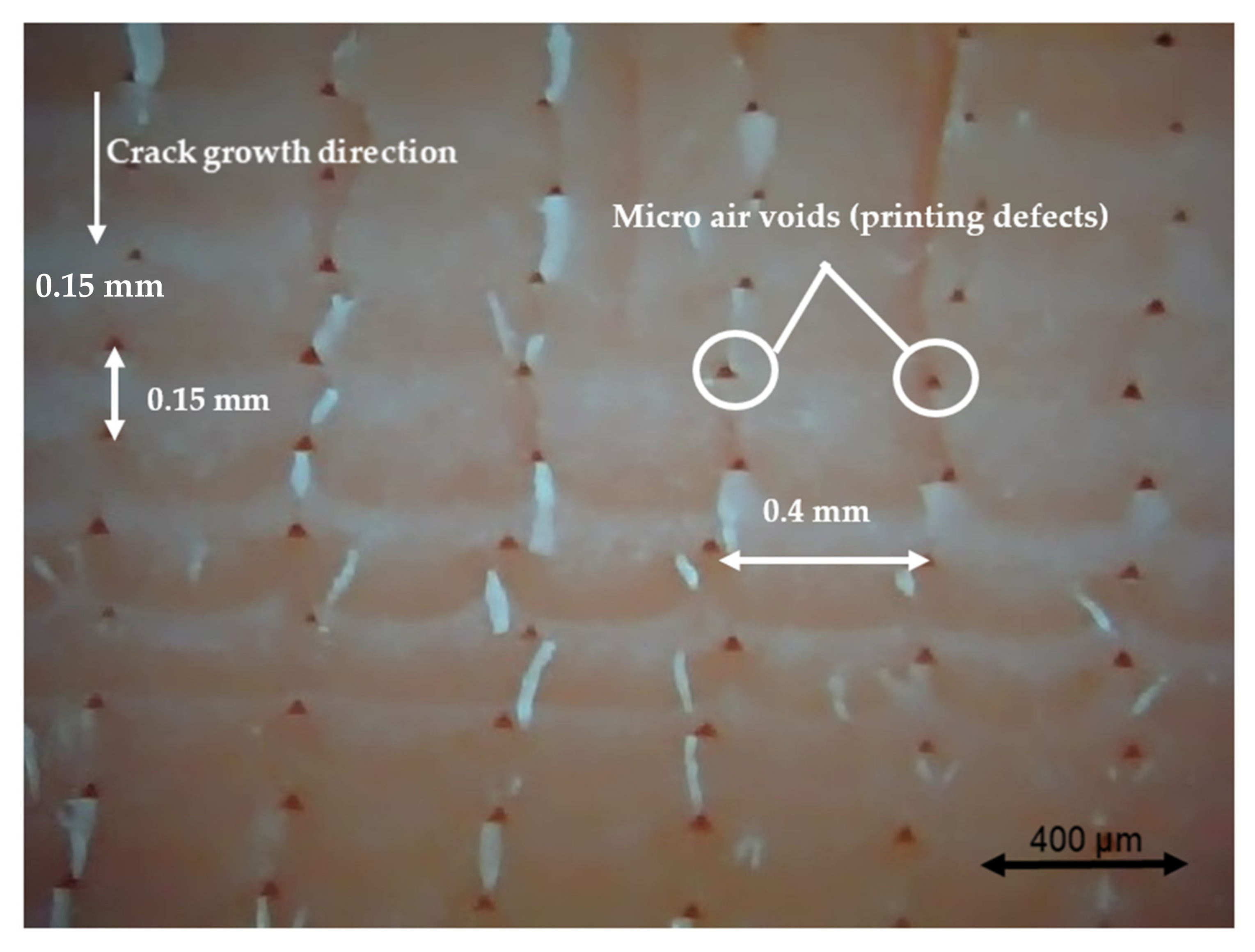 Polymers 13 02362 g016 550