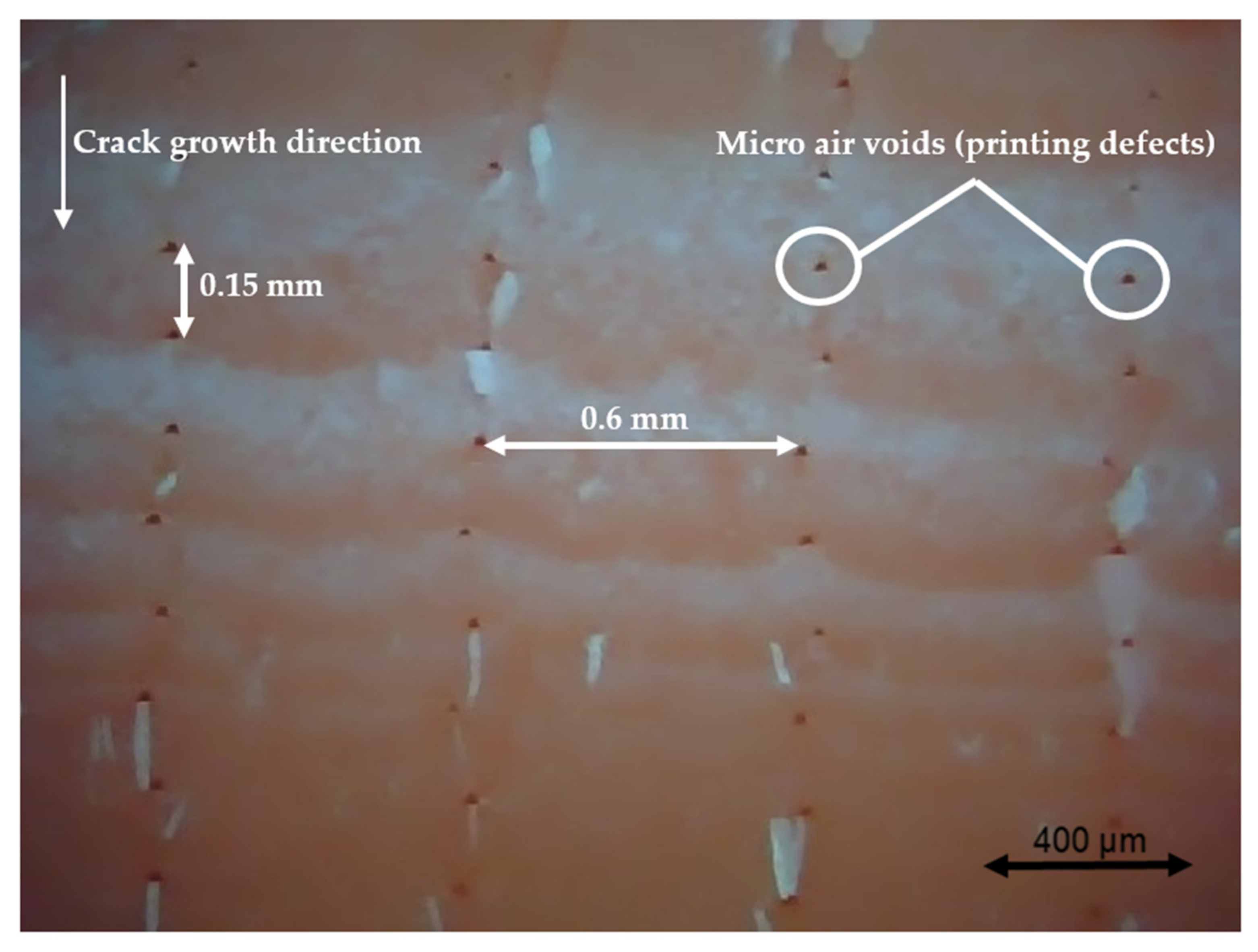 Polymers 13 02362 g017 550