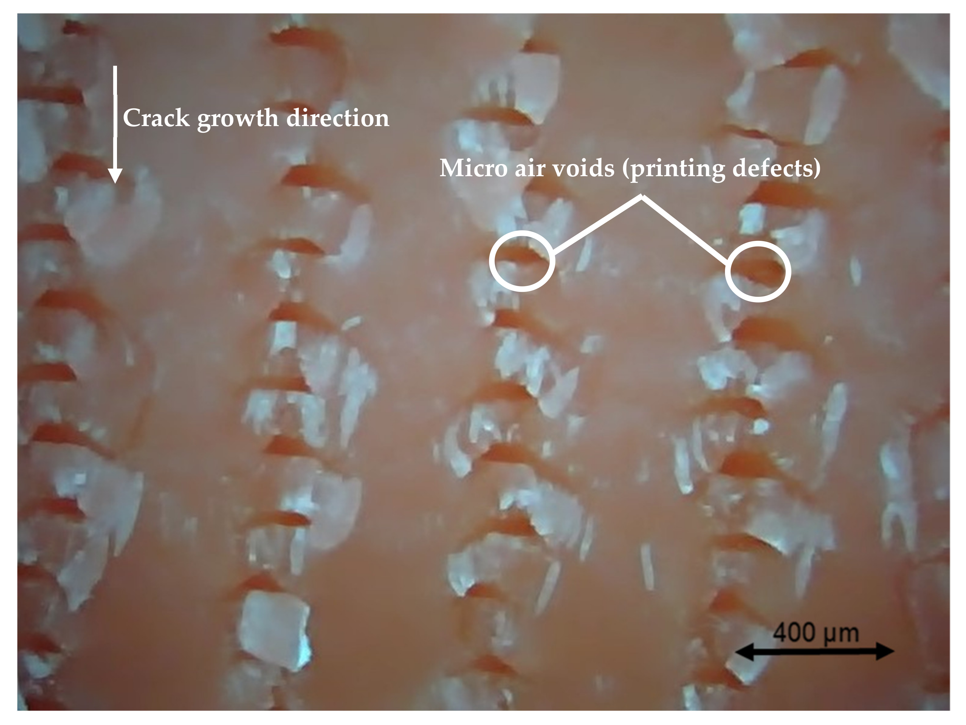Polymers 13 02362 g019 550