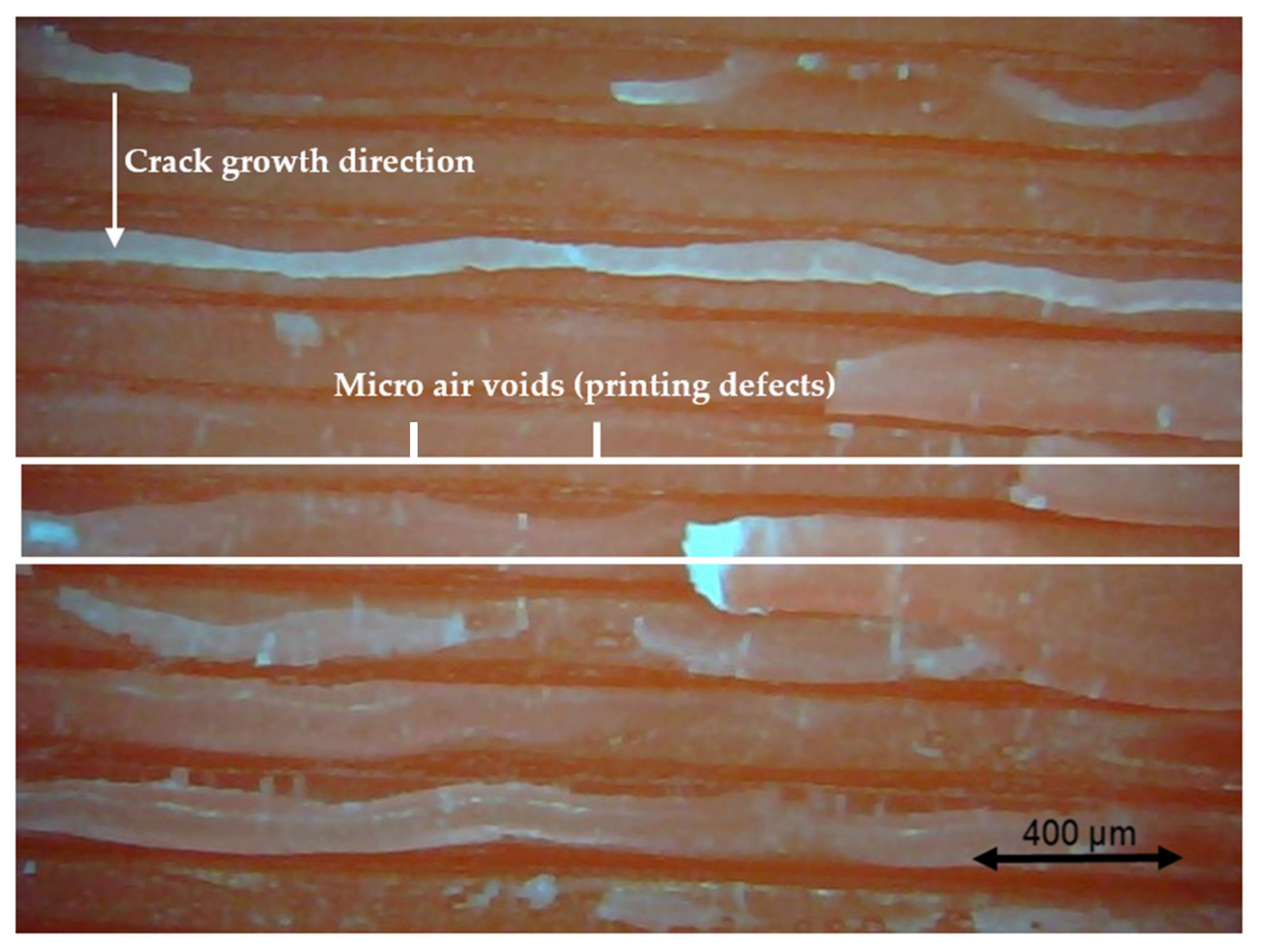 Polymers 13 02362 g020 550