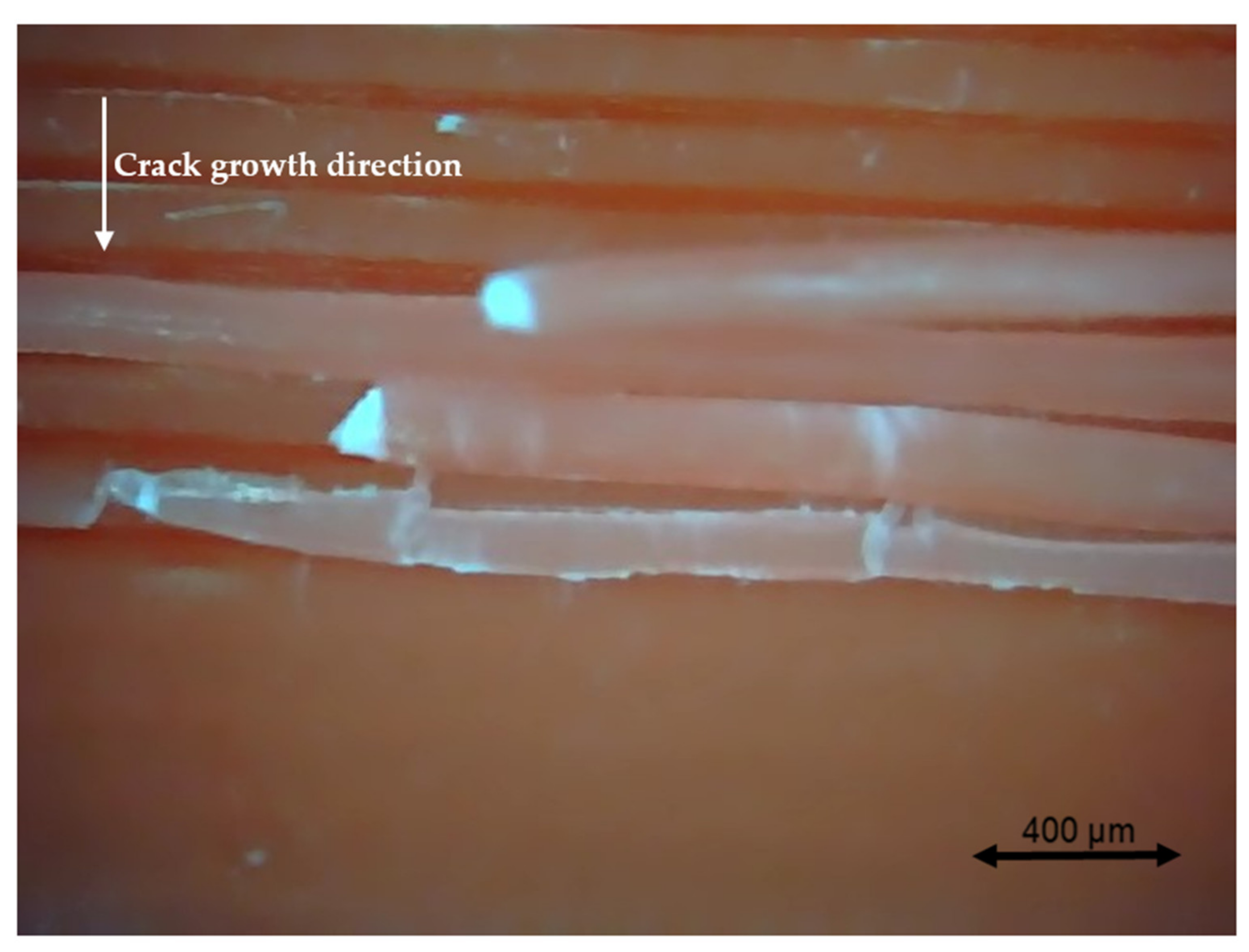 Polymers 13 02362 g021 550