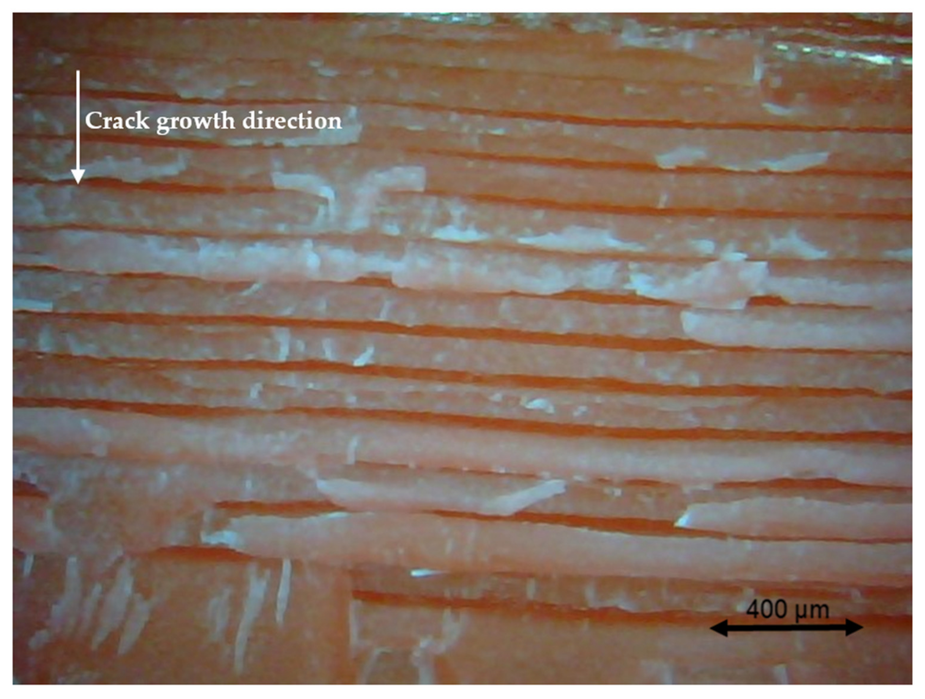 Polymers 13 02362 g022 550