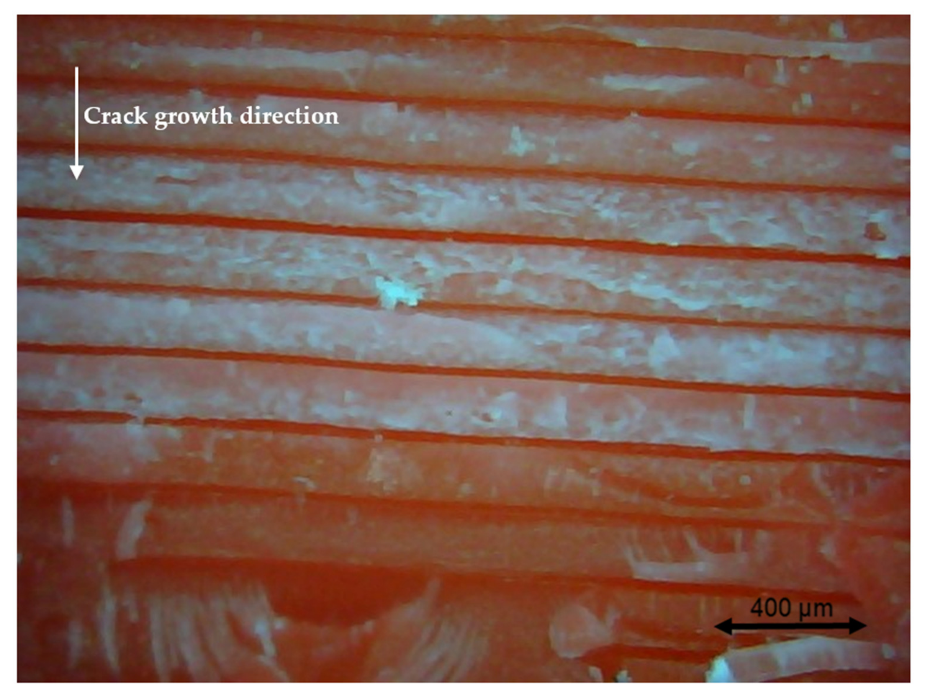 Polymers 13 02362 g023 550