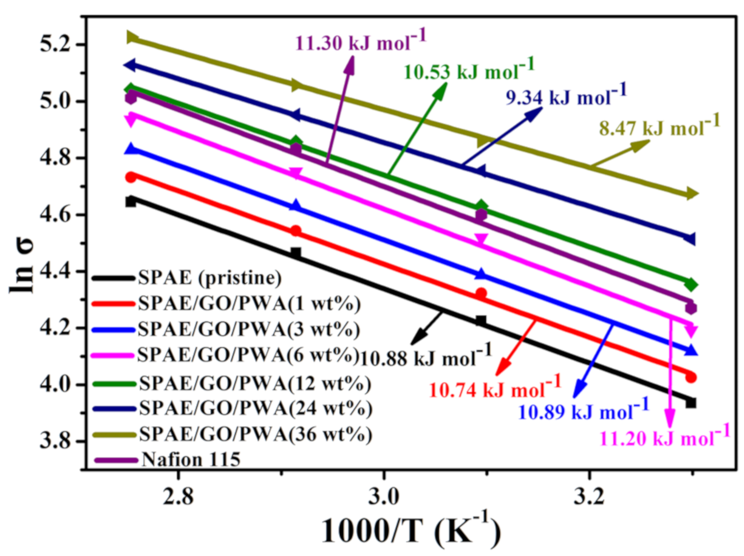Polymers 13 02364 g011