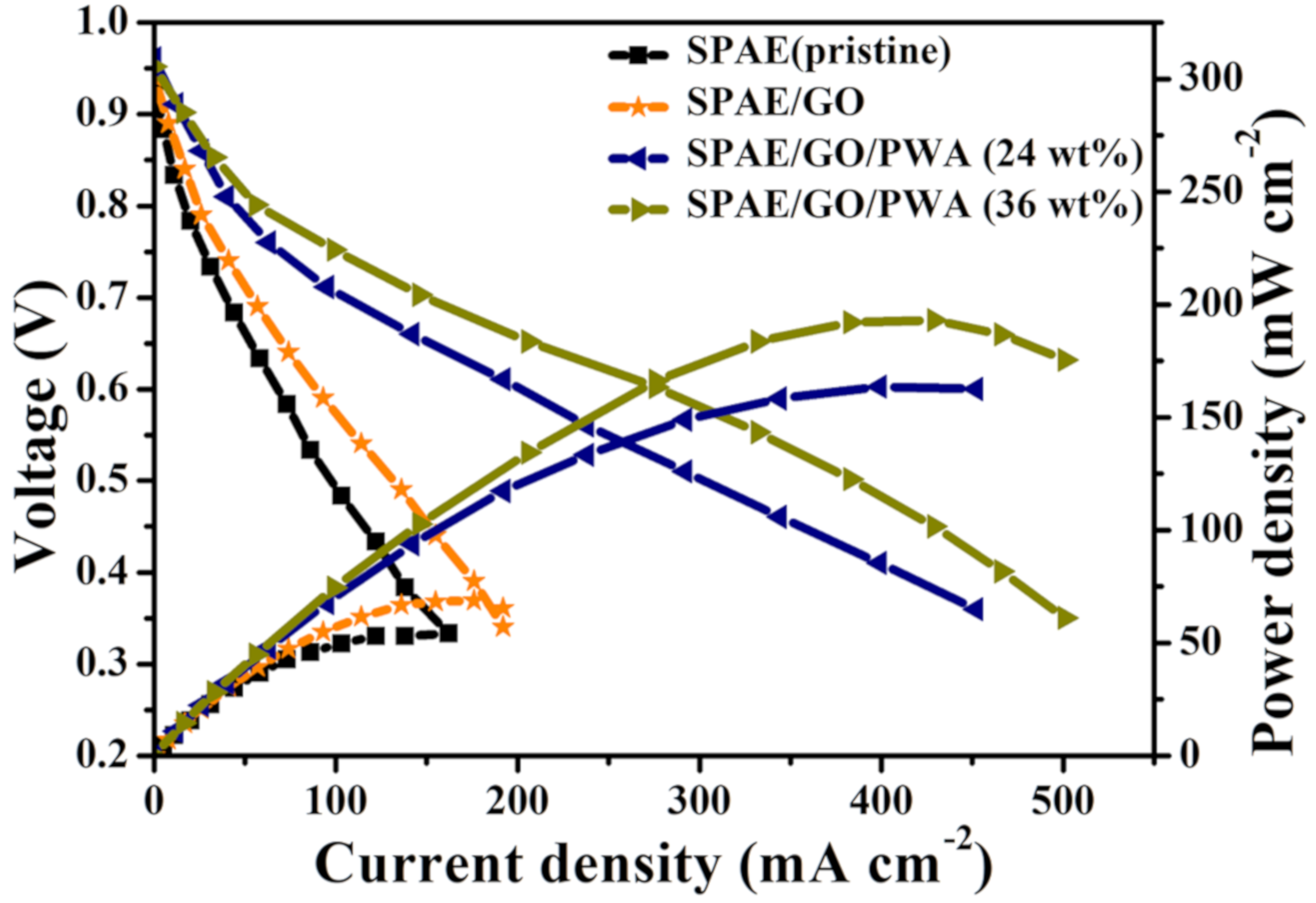 Polymers 13 02364 g012