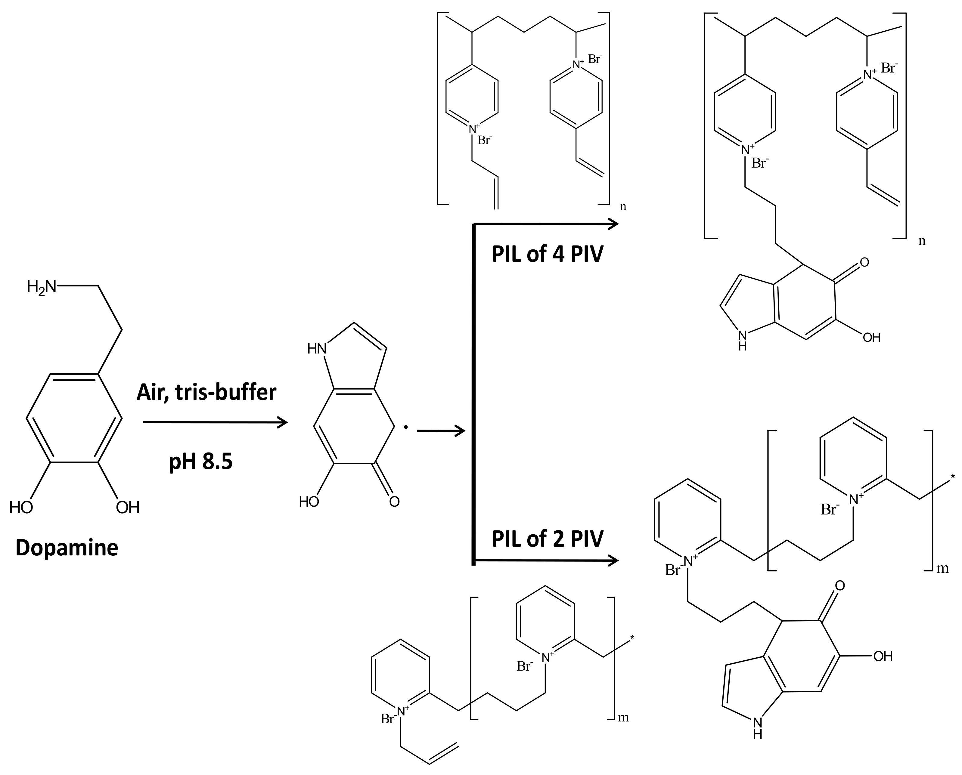 Polymers 13 02366 g002 Polymers 13 02366 g002