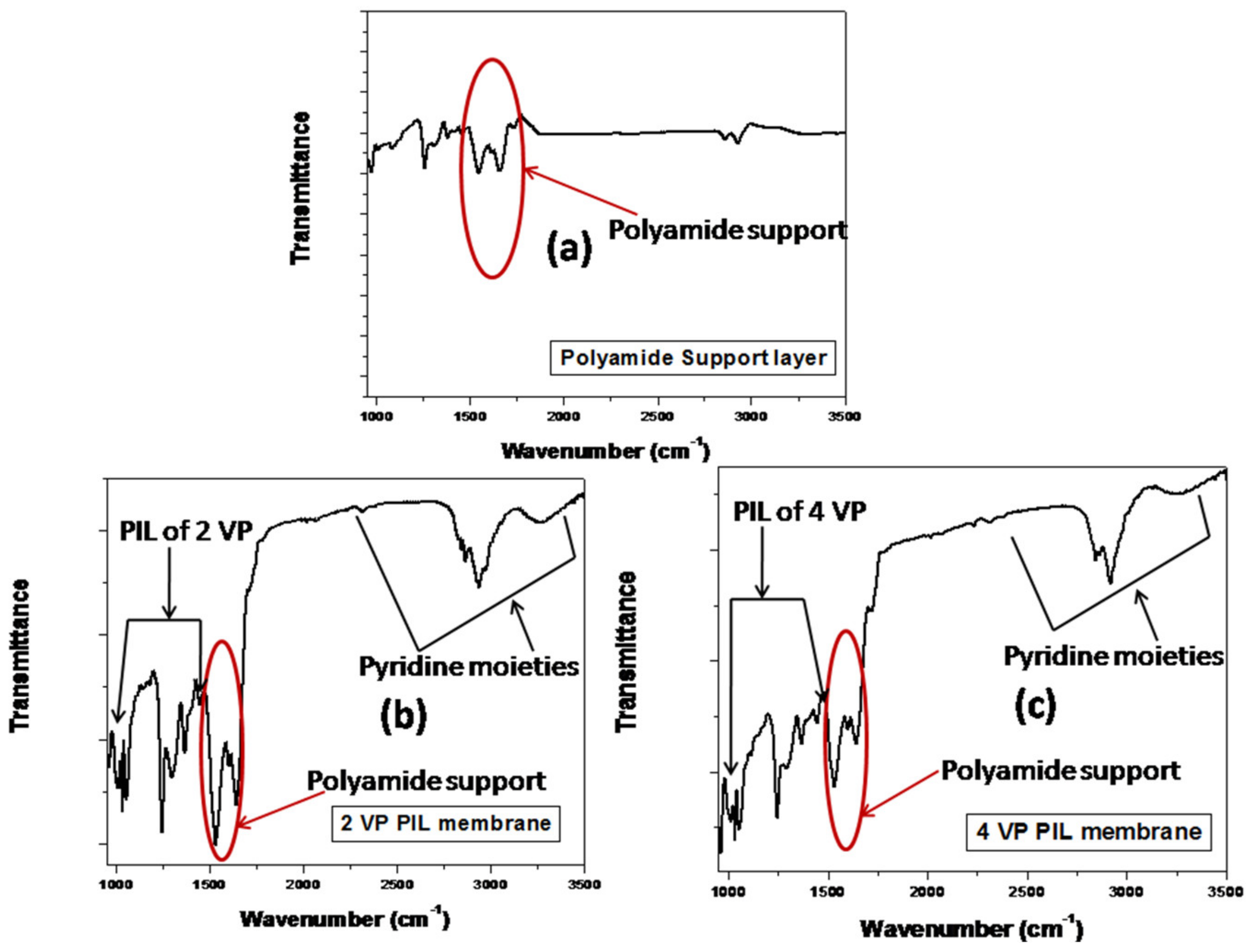 Polymers 13 02366 g006 Polymers 13 02366 g006