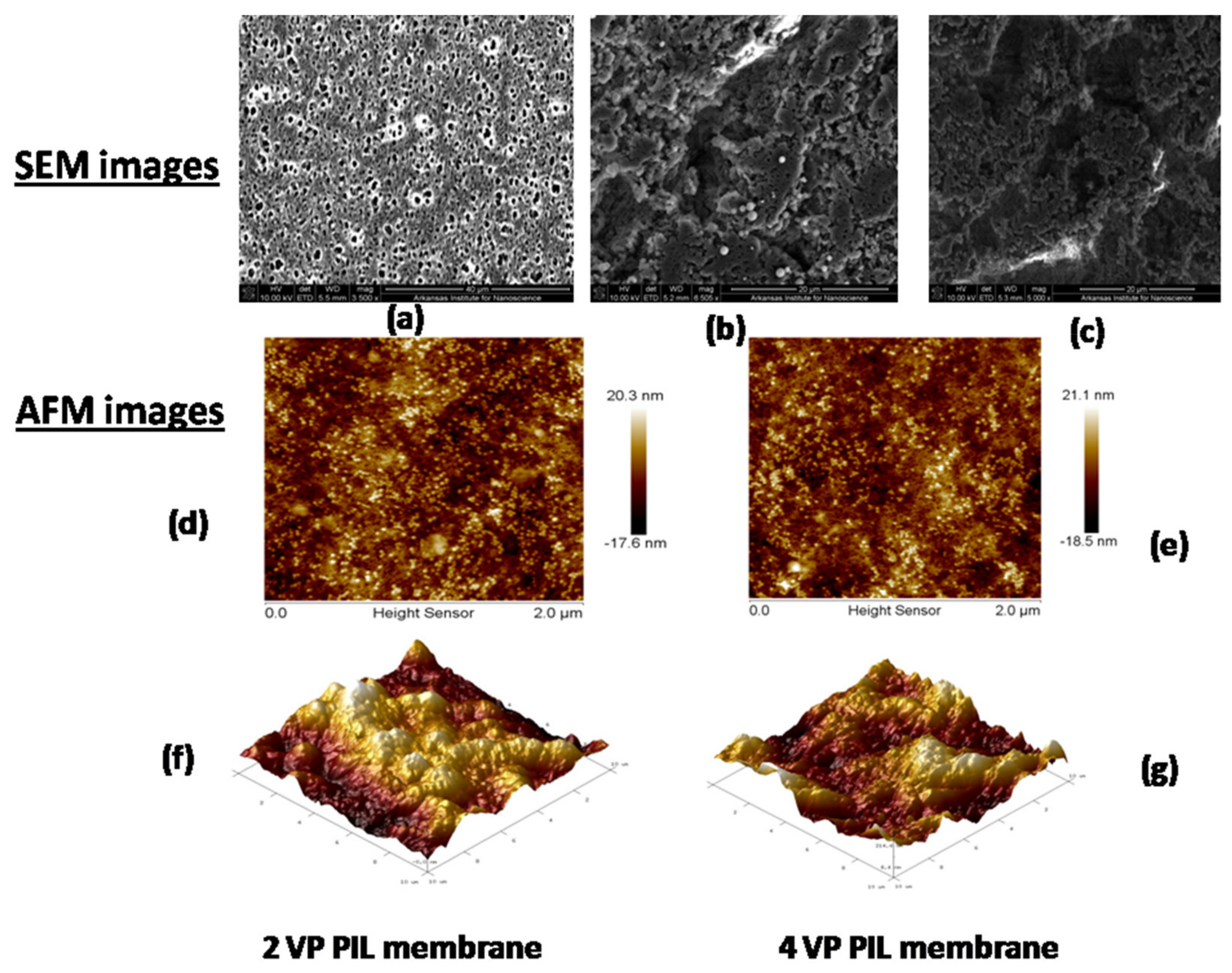 Polymers 13 02366 g007 Polymers 13 02366 g007