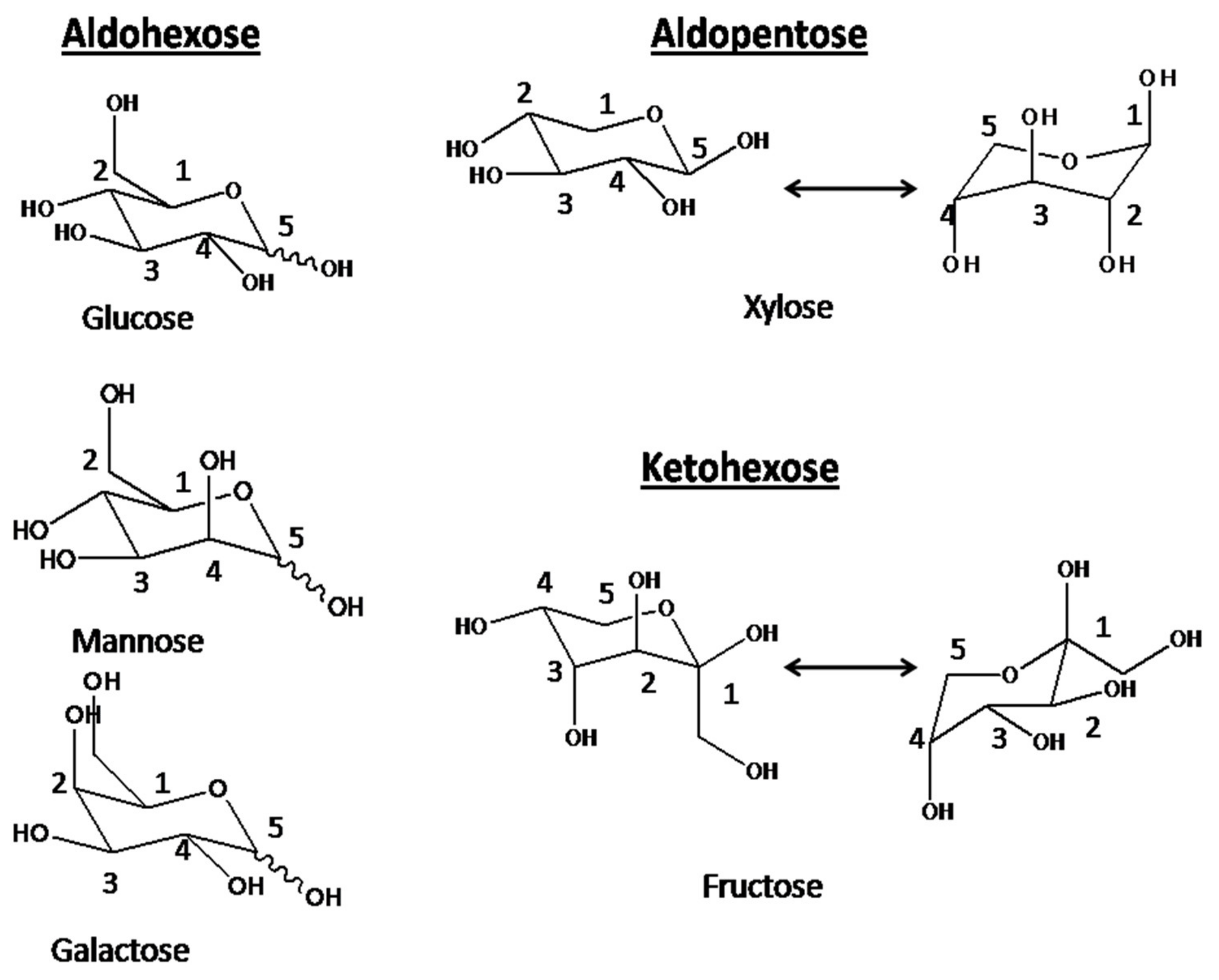 Polymers 13 02366 g010 Polymers 13 02366 g010