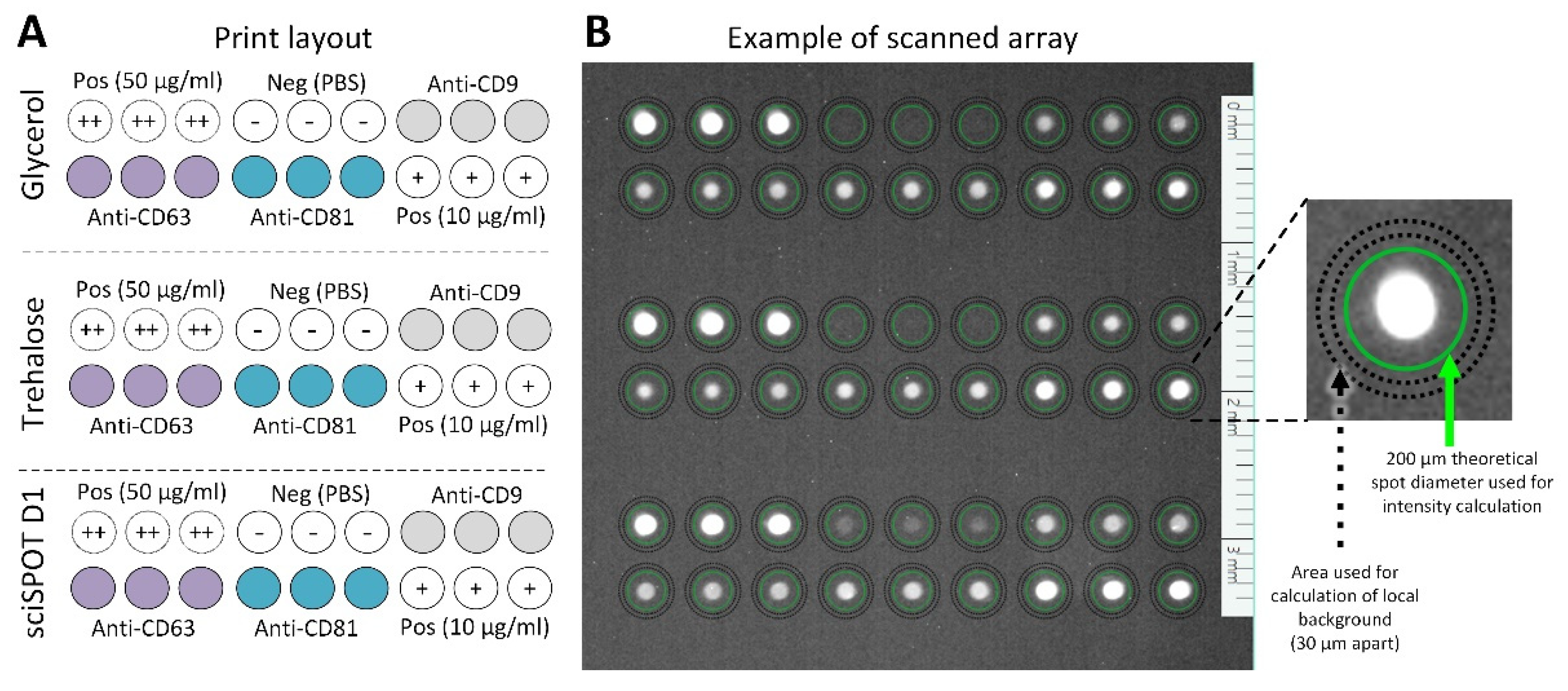 Polymers 13 02368 g001 Polymers 13 02368 g001