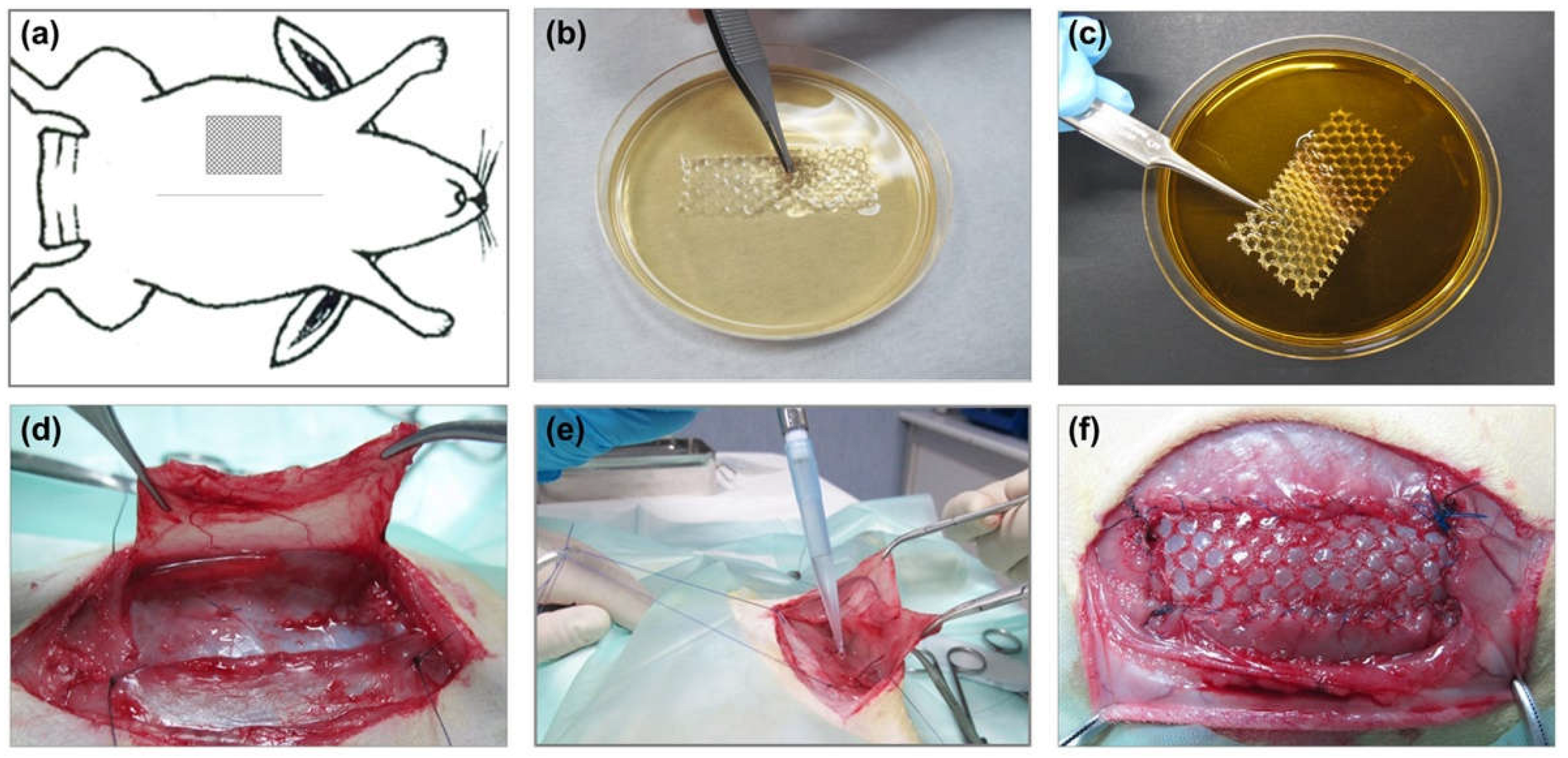 Polymers 13 02371 g001