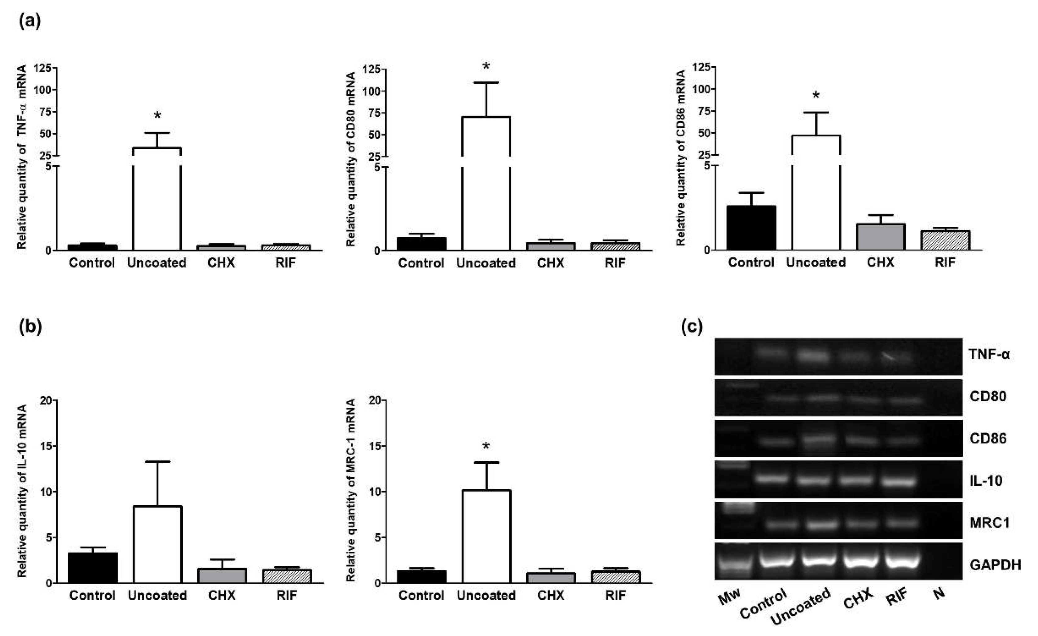 Polymers 13 02371 g008