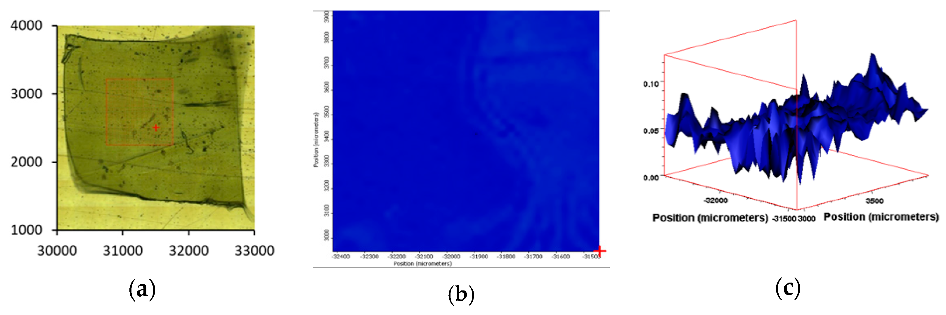 Polymers 13 02373 g007