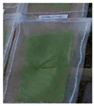 Polymers 13 02373 i010