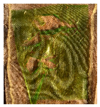 Polymers 13 02373 i011