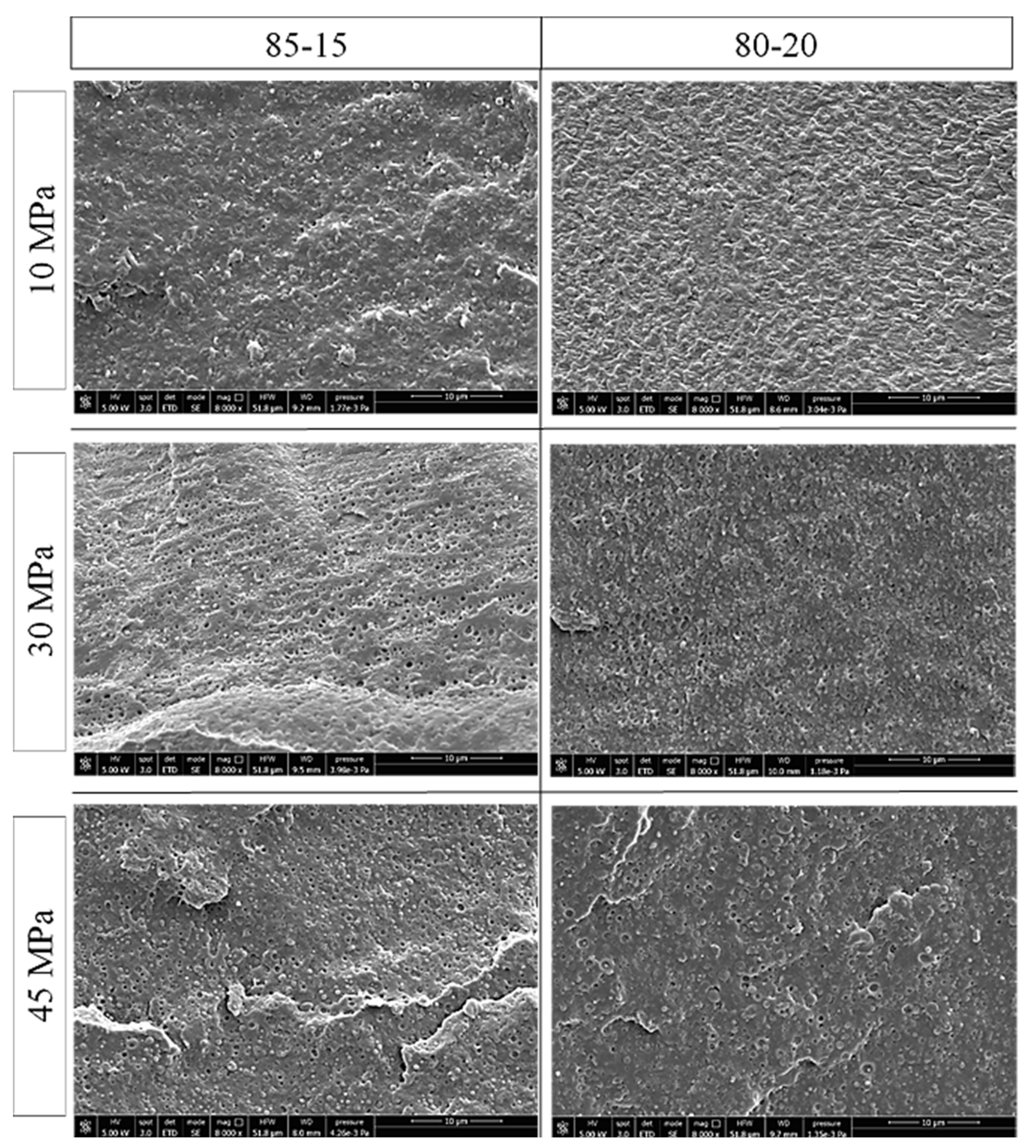 Polymers 13 02379 g006 Polymers 13 02379 g006