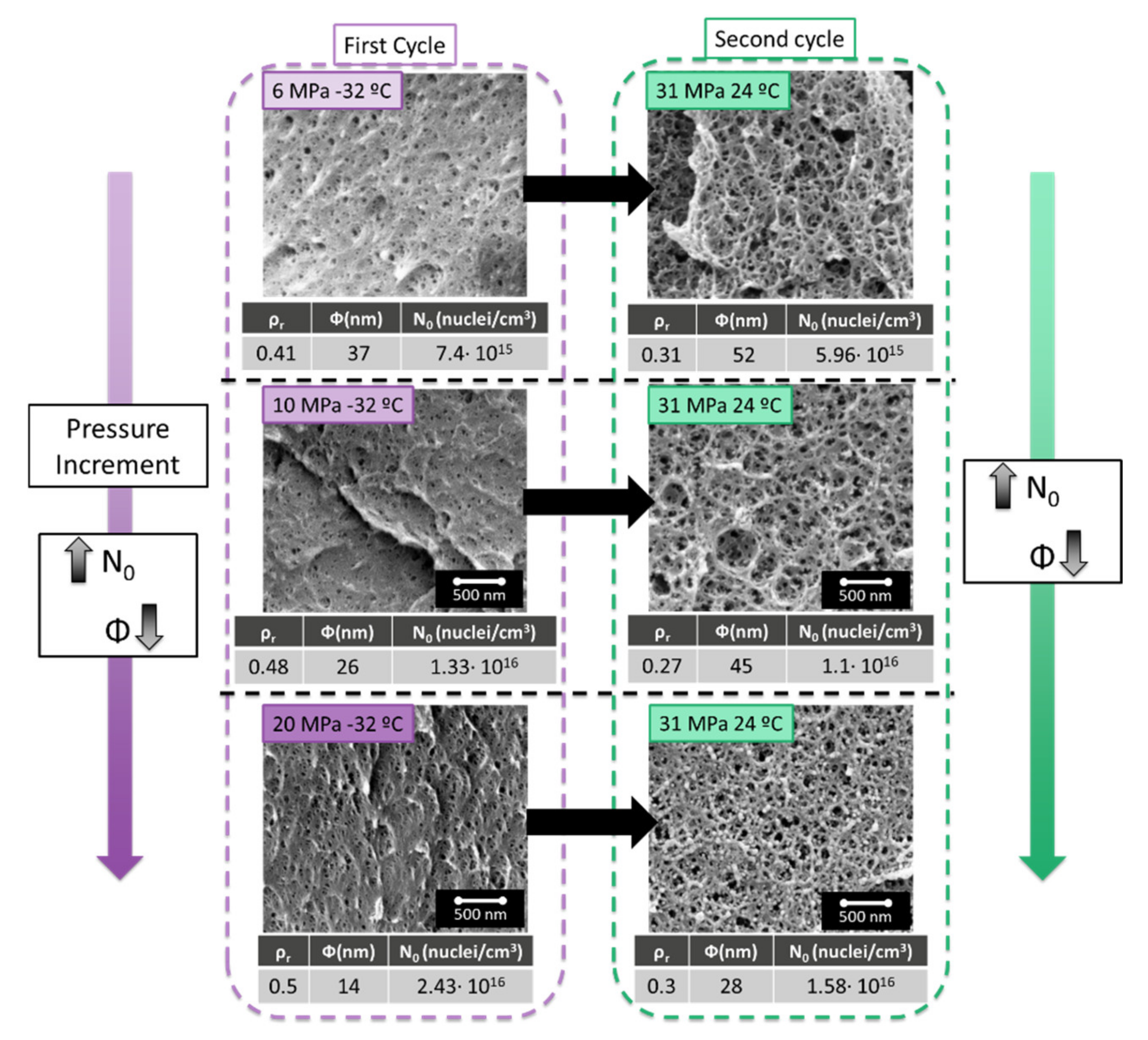 Polymers 13 02383 g004 550