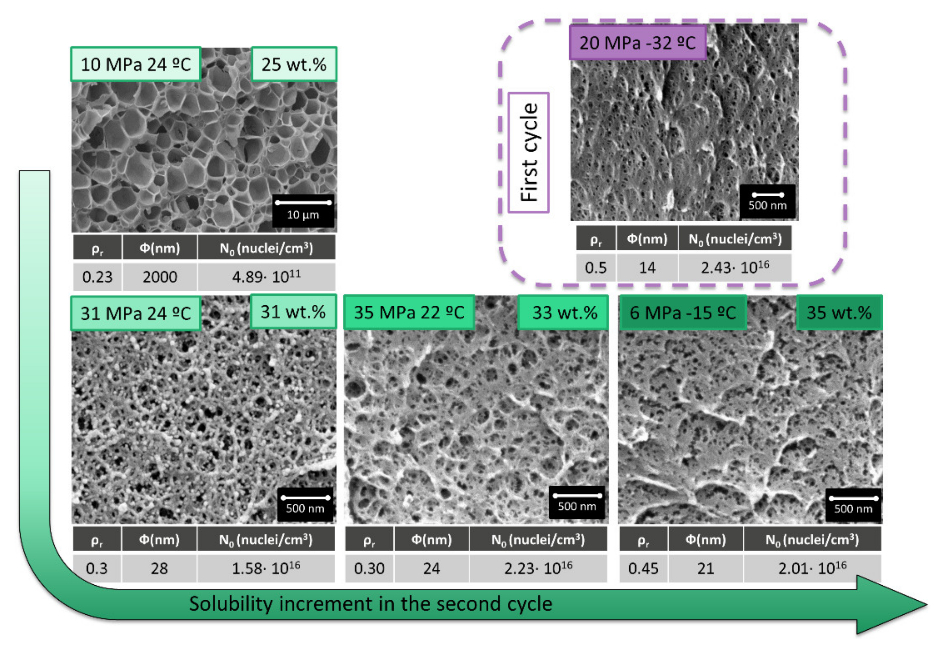 Polymers 13 02383 g005 550