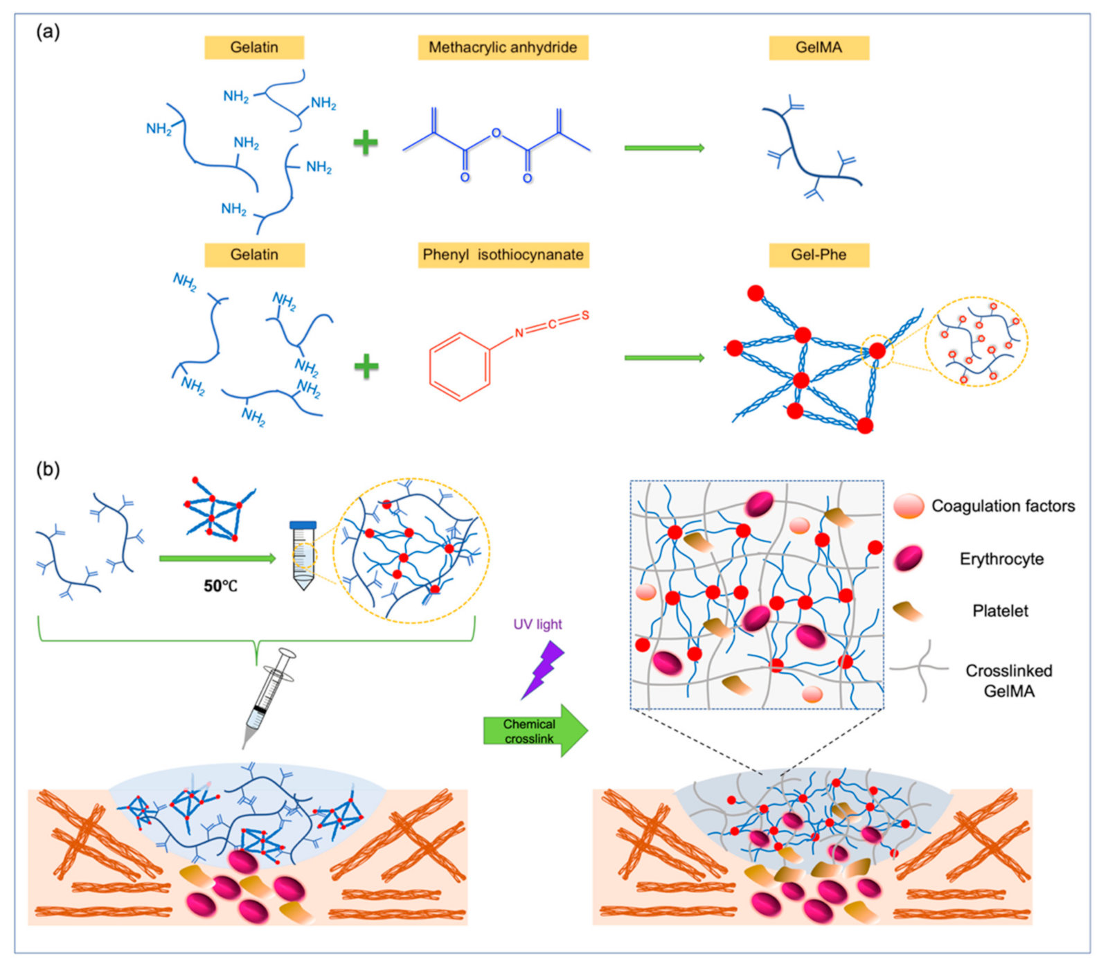 Polymers 13 02386 g001 550