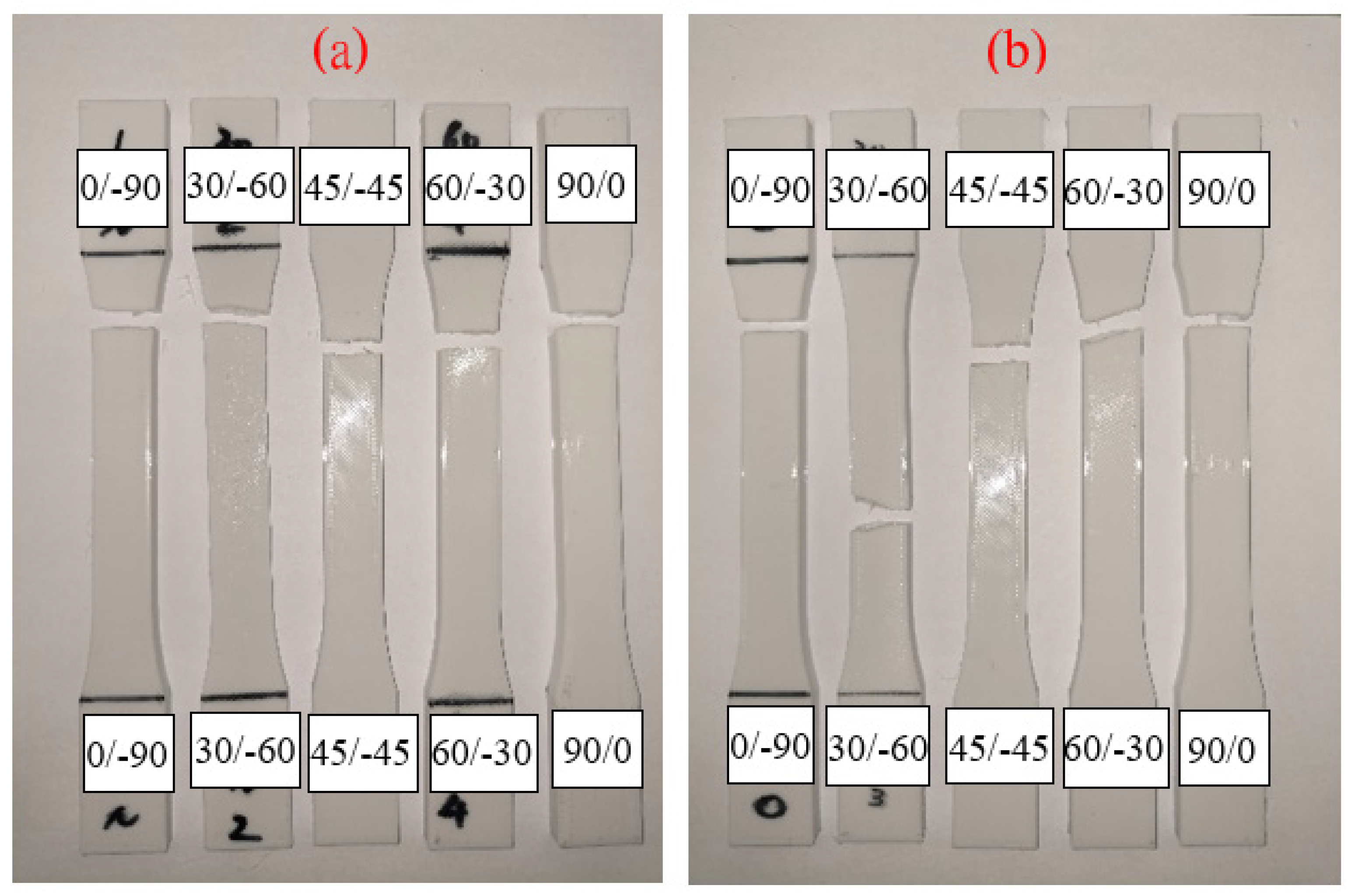 Polymers 13 02387 g016 550