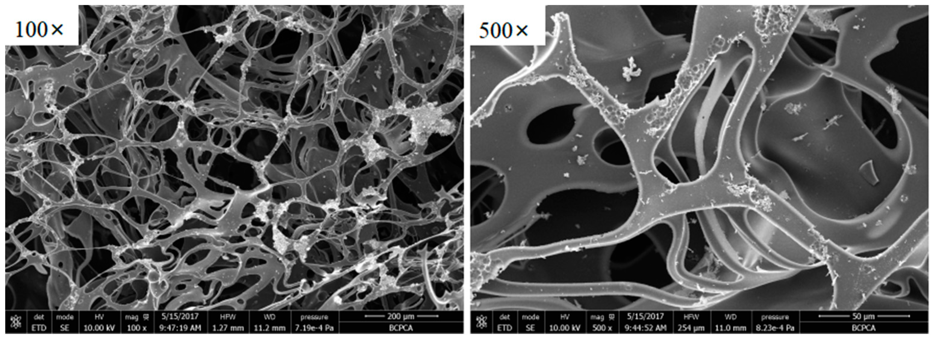 Polymers 13 02388 g005