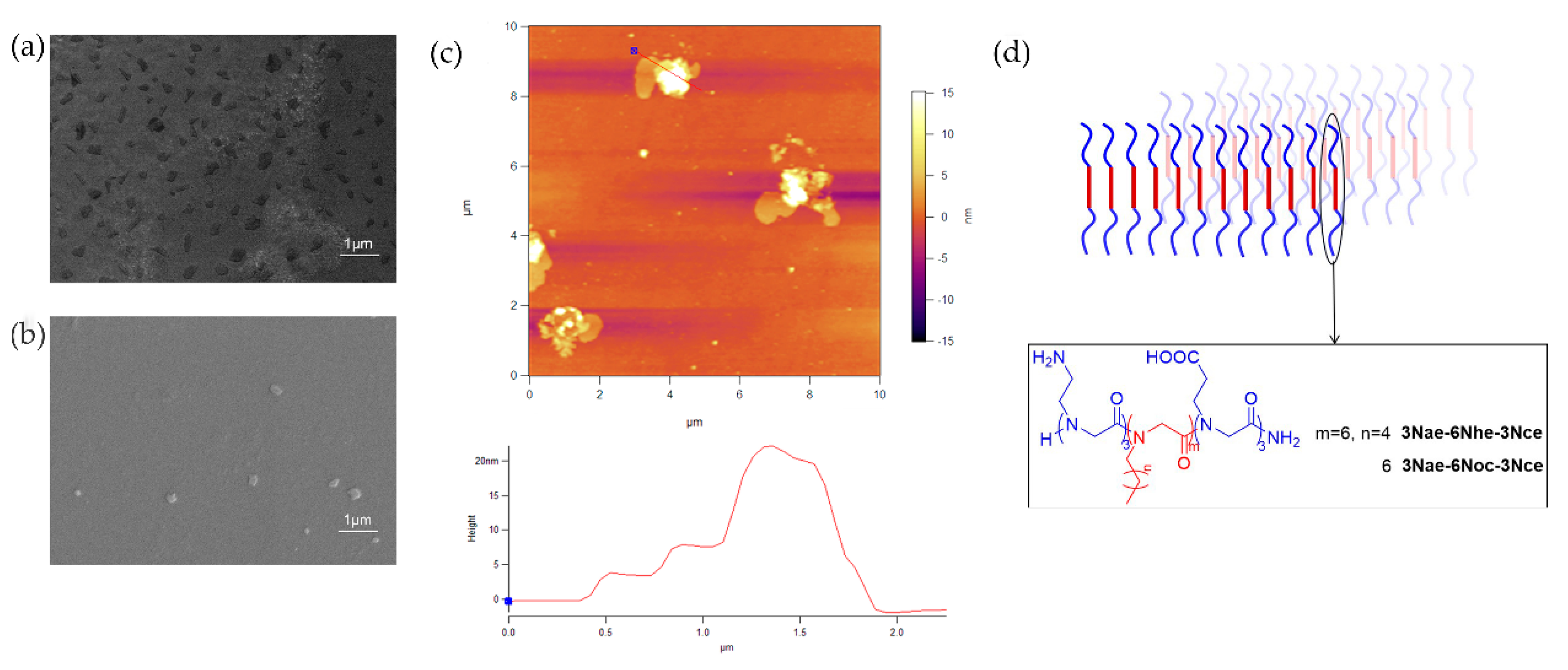 Polymers 13 02389 g004 Polymers 13 02389 g004