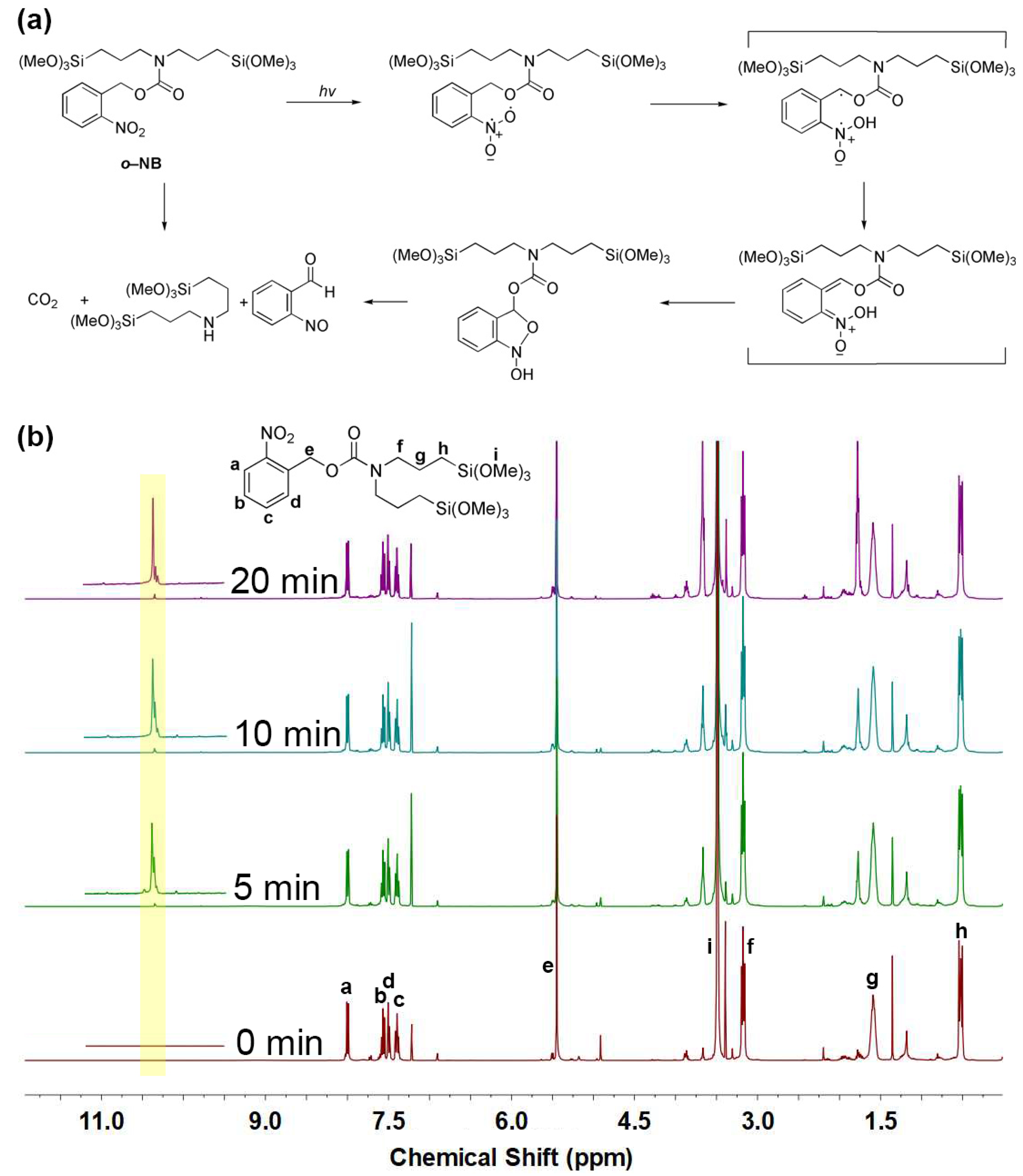 Polymers 13 02392 g001