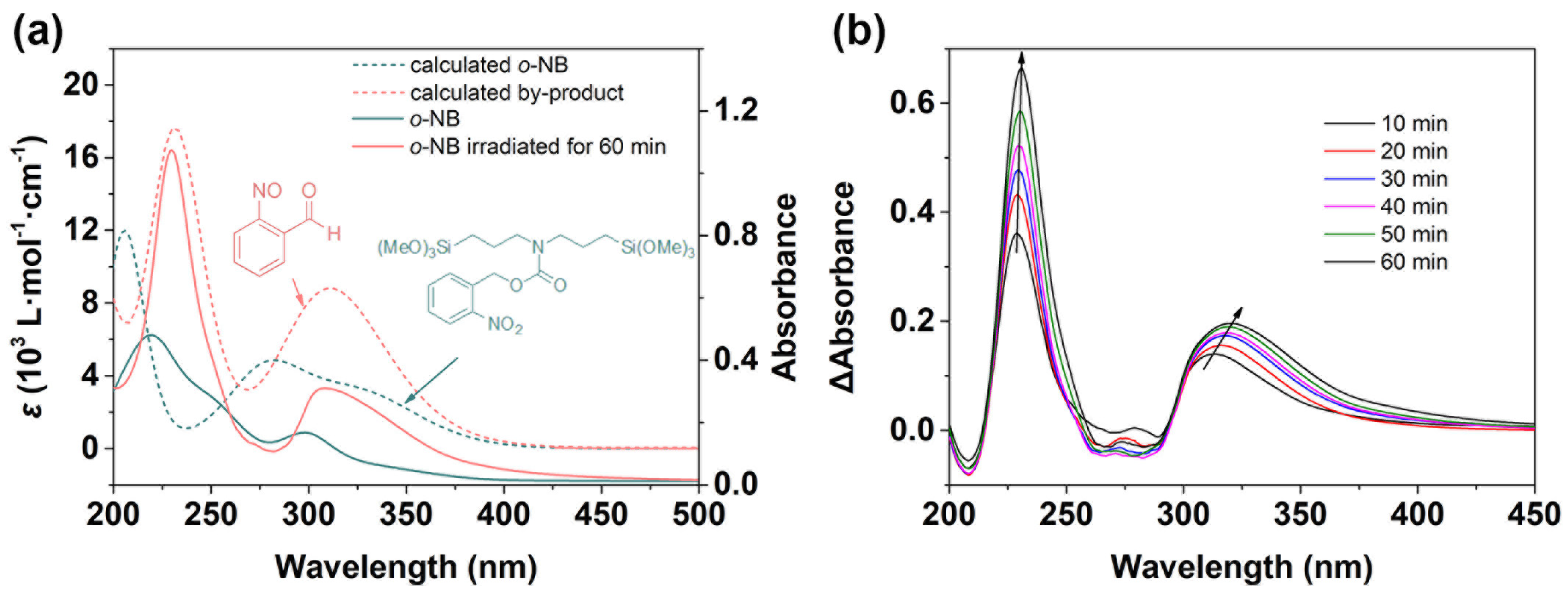 Polymers 13 02392 g002