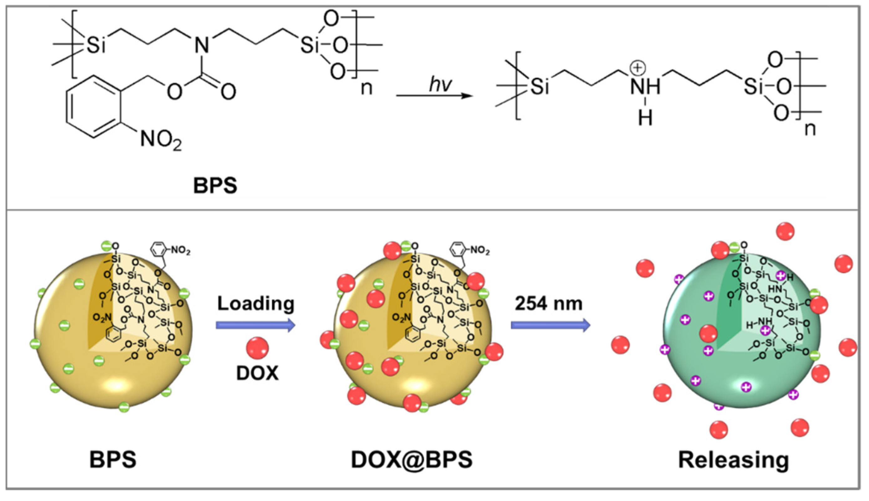 Polymers 13 02392 g005
