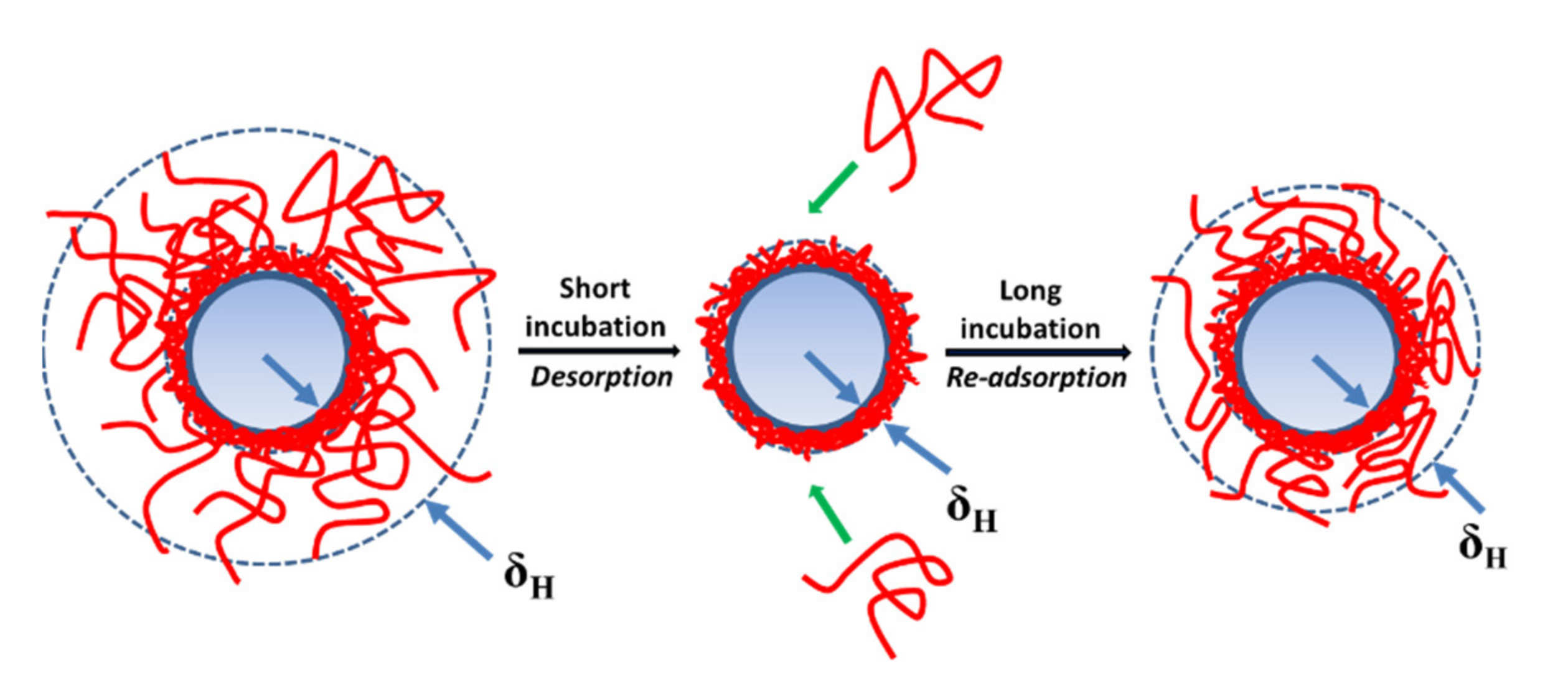 Polymers 13 02394 g005 Polymers 13 02394 g005