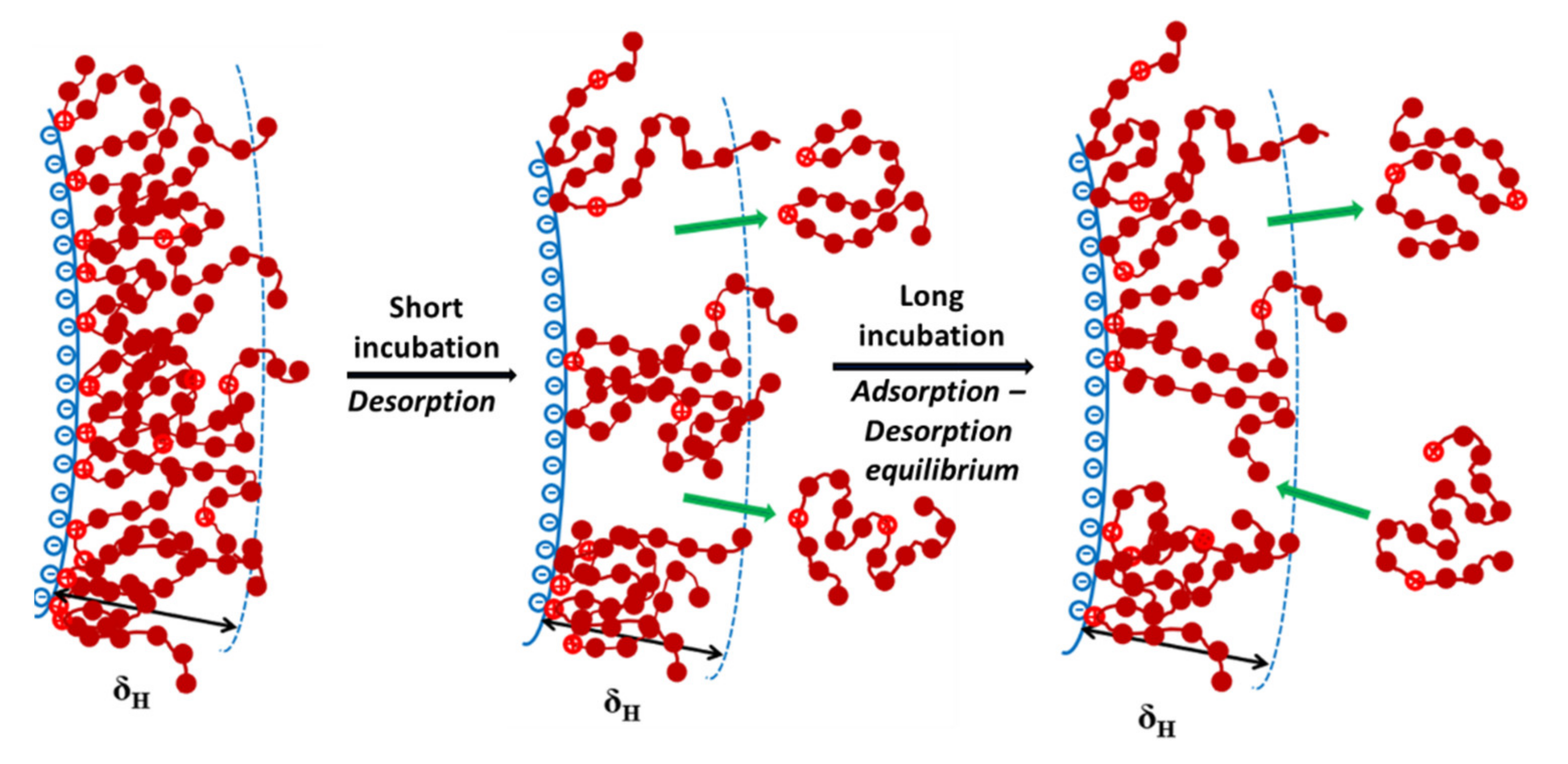 Polymers 13 02394 g006 Polymers 13 02394 g006