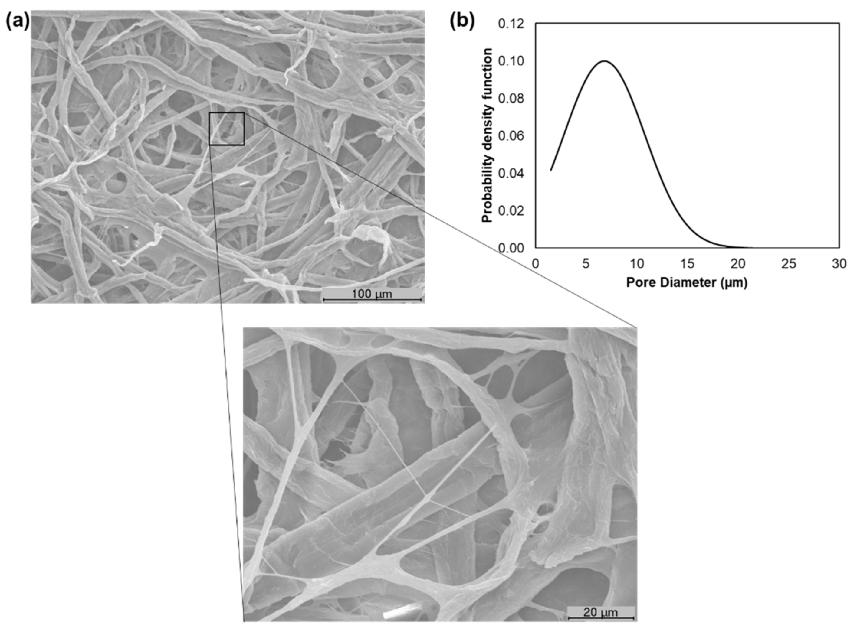 Polymers 13 02397 g004 Polymers 13 02397 g004