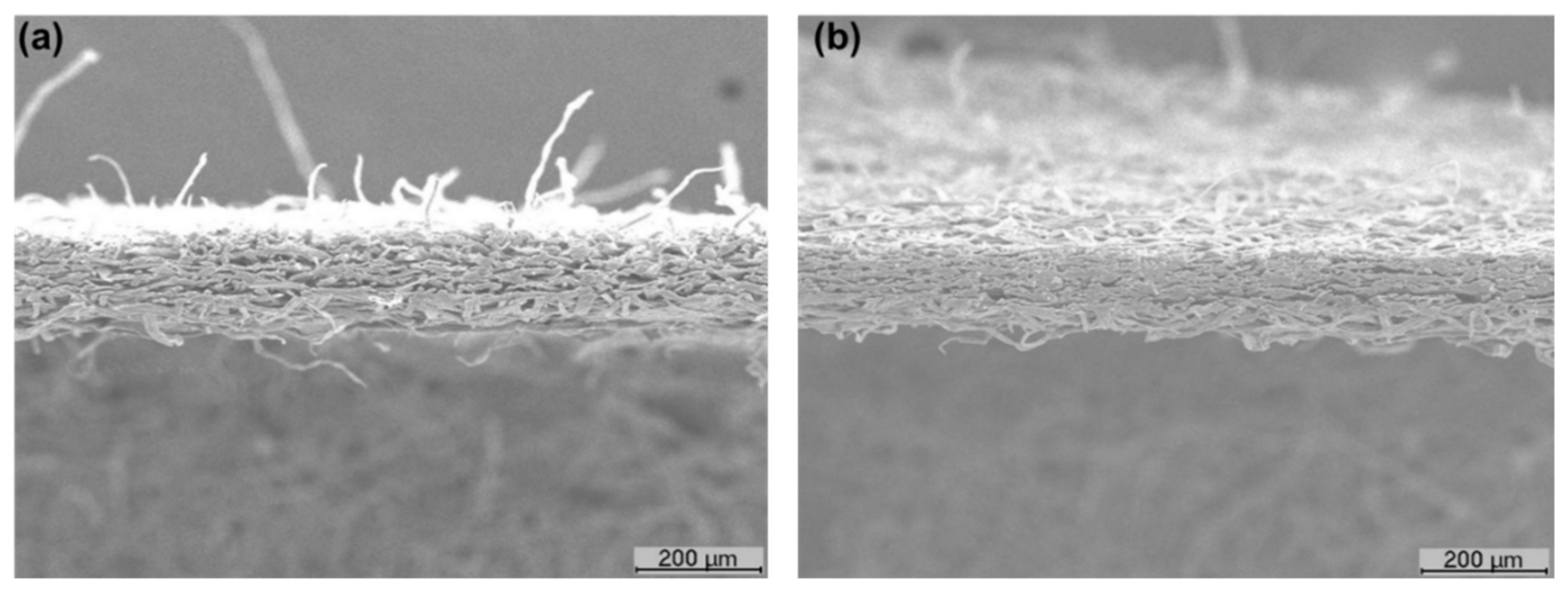 Polymers 13 02397 g007 Polymers 13 02397 g007
