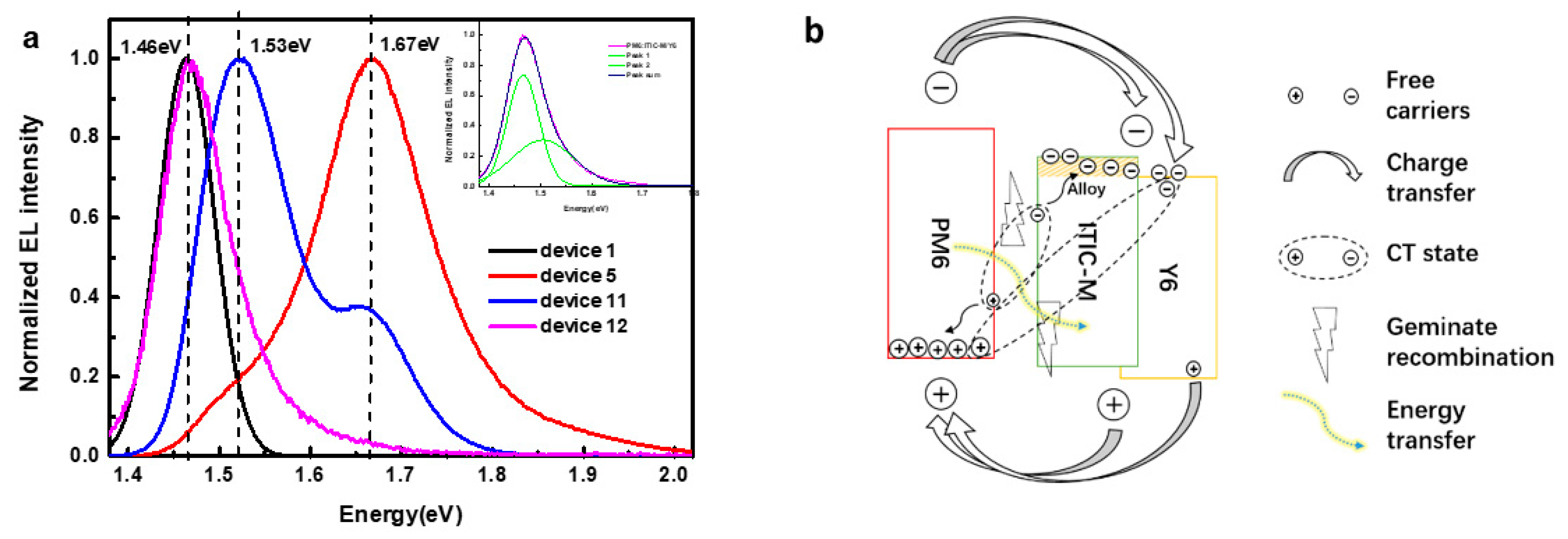 Polymers 13 02398 g006