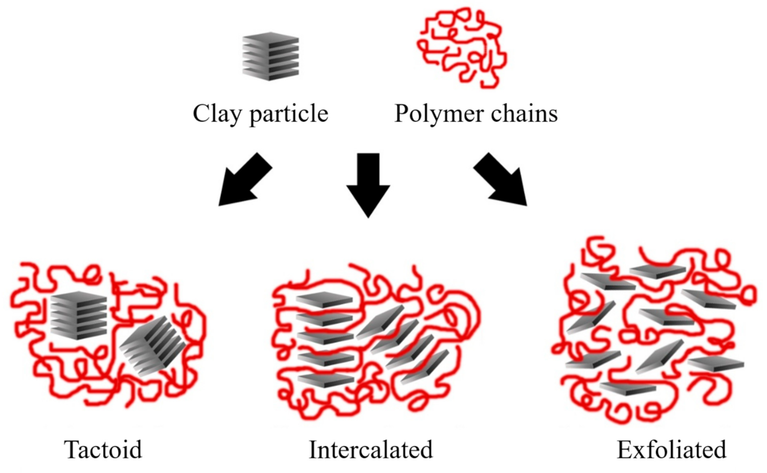 Polymers 13 02399 g011