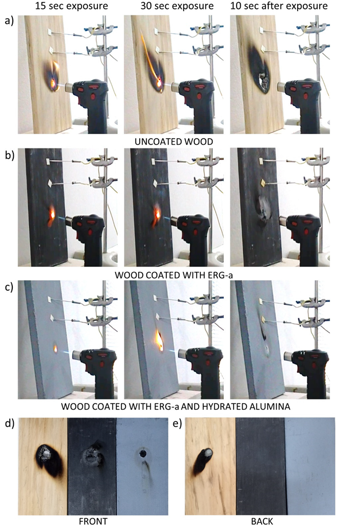 Polymers 13 02400 g007