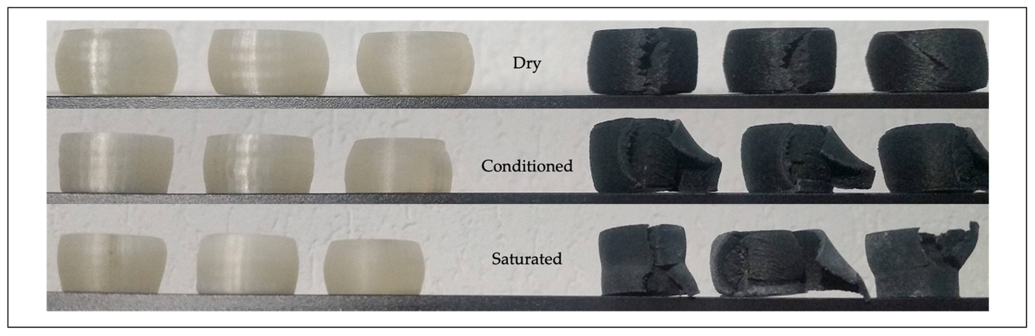 Polymers 13 02401 g010 550