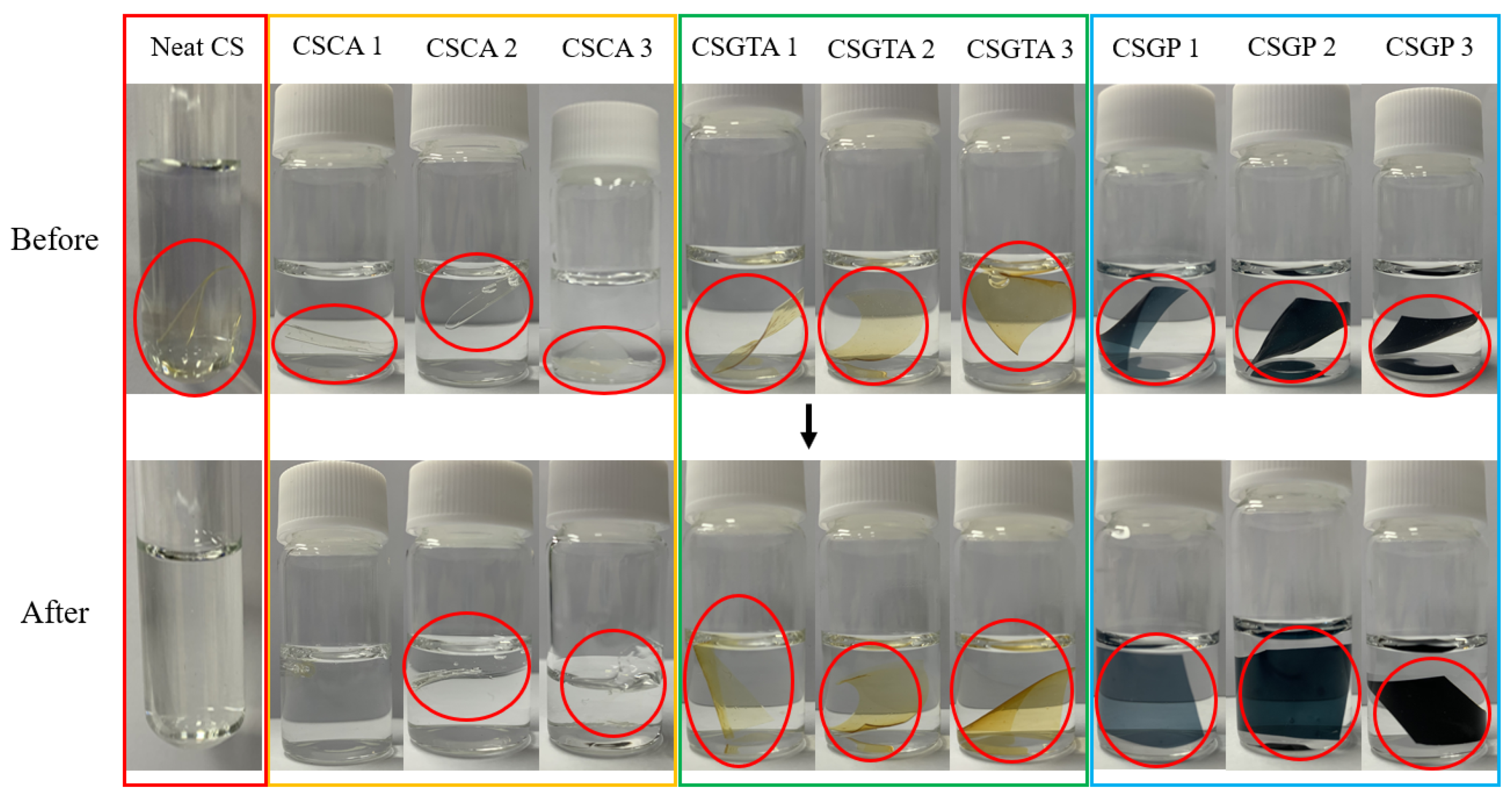Polymers 13 02402 g002
