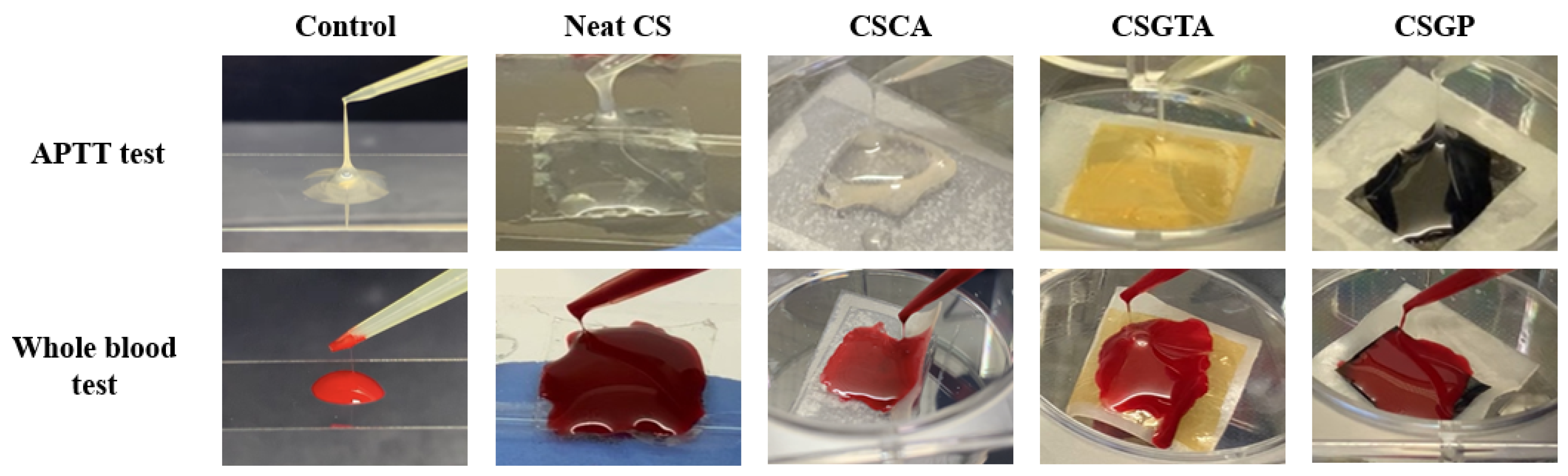 Polymers 13 02402 g004