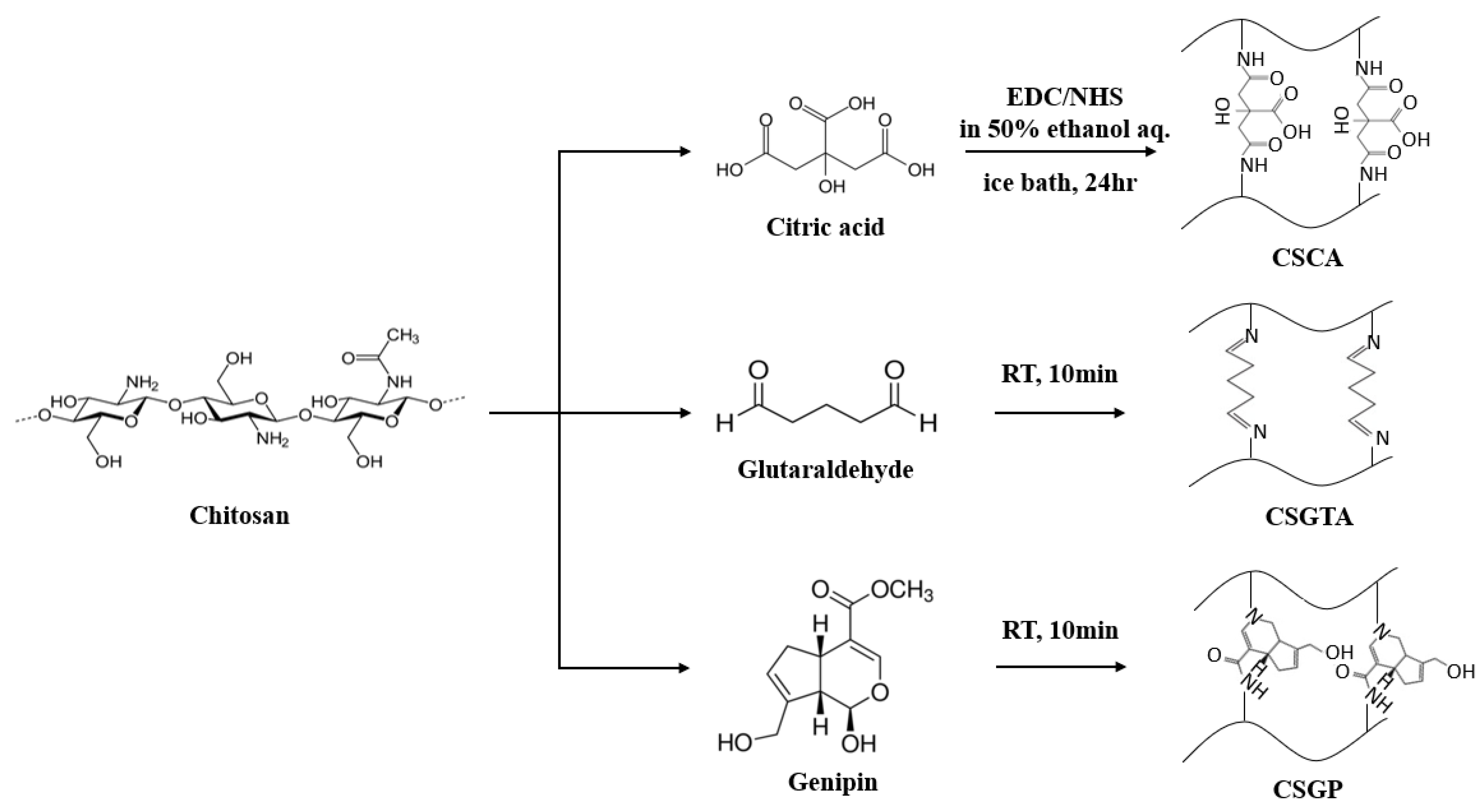 Polymers 13 02402 sch001